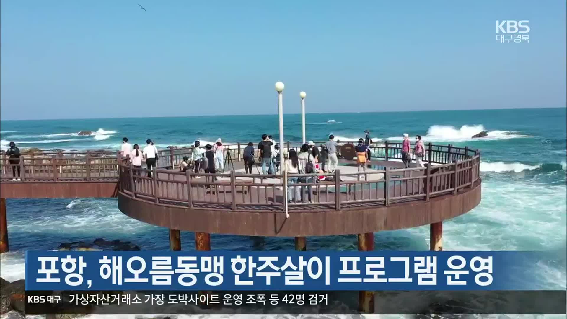 [여기는 포항] 포항, 해오름동맹 한주살이 프로그램 운영 외