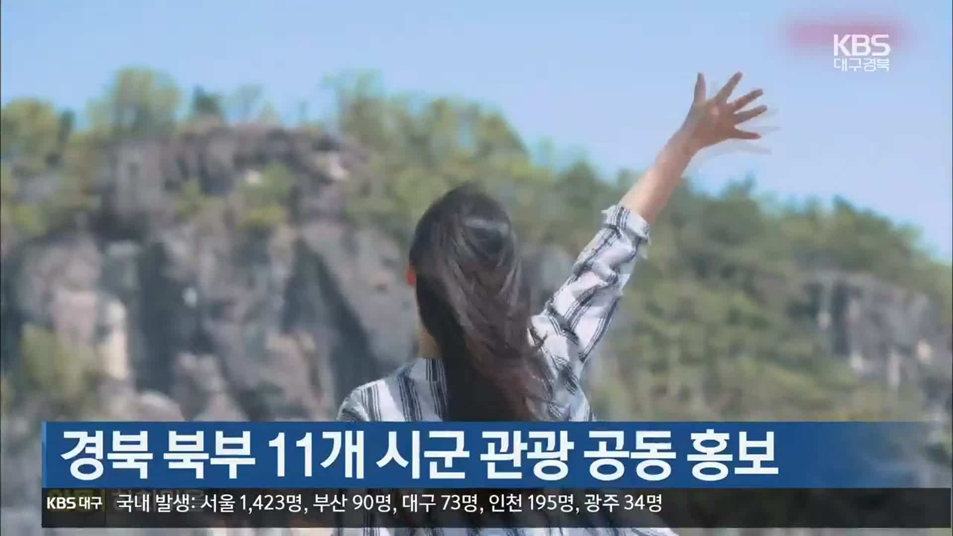 경북 북부 11개 시군 관광 공동 홍보