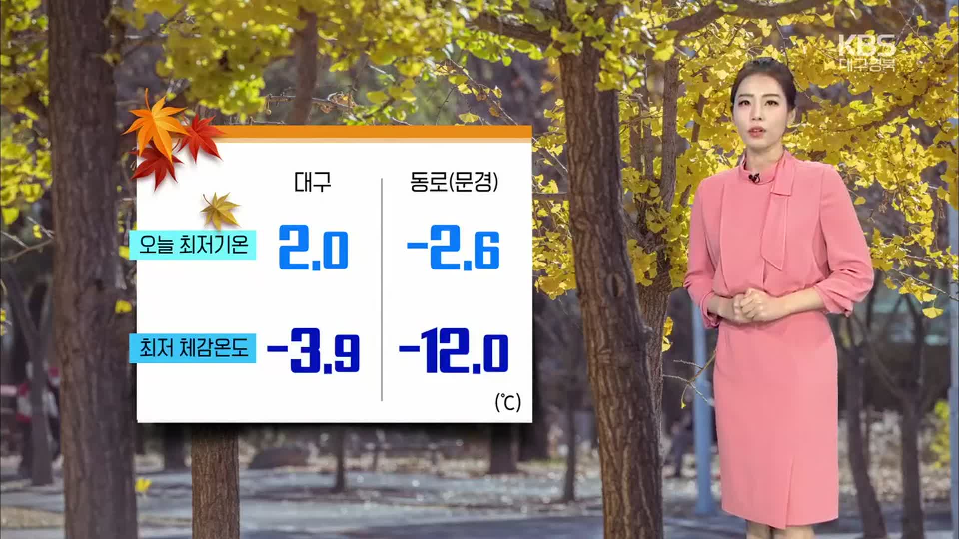 [날씨] 대구·경북 내일 아침 경북 서부 비·눈…강한 바람으로 체감온도↓