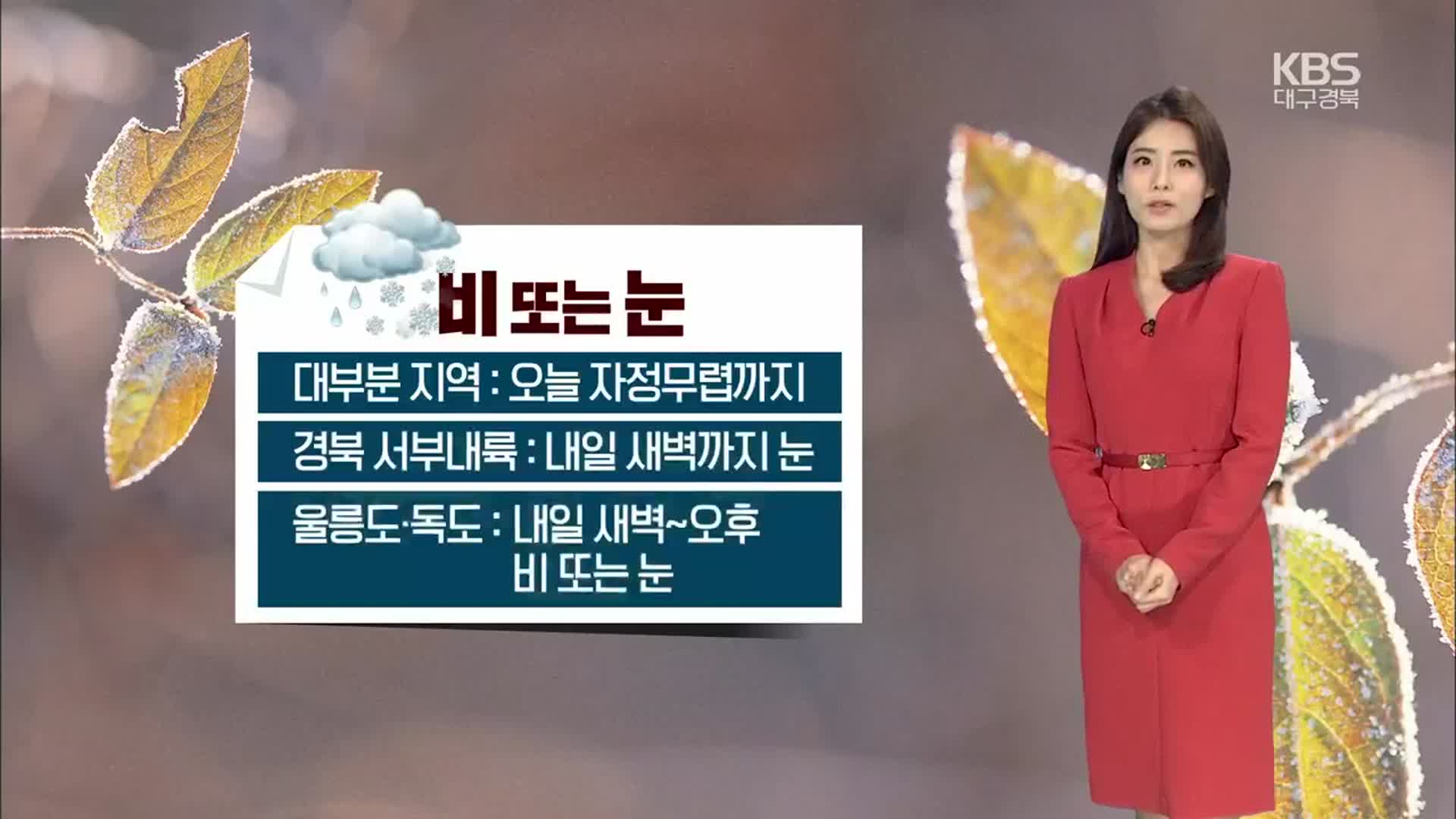 [날씨] 경북 서부내륙 새벽까지 눈…울릉도·독도 강풍특보