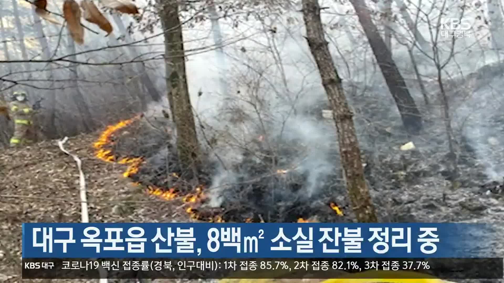 대구 옥포읍 산불, 8백㎡ 소실 잔불 정리 중