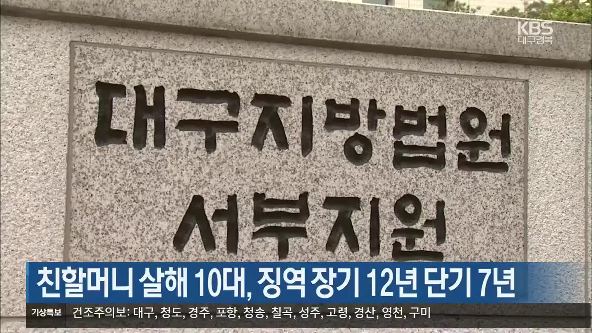 친할머니 살해 10대, 징역 장기 12년 단기 7년