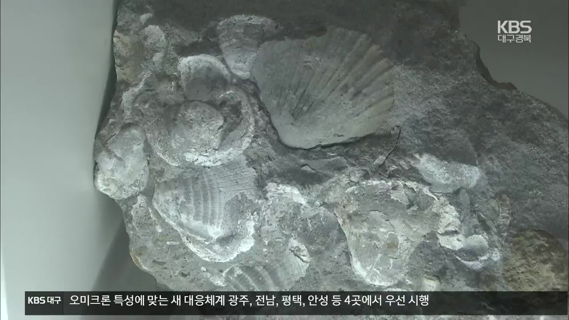 [여기는 포항] 풍부한 신생대 지질 자원…“잘 꿰어야 보배”