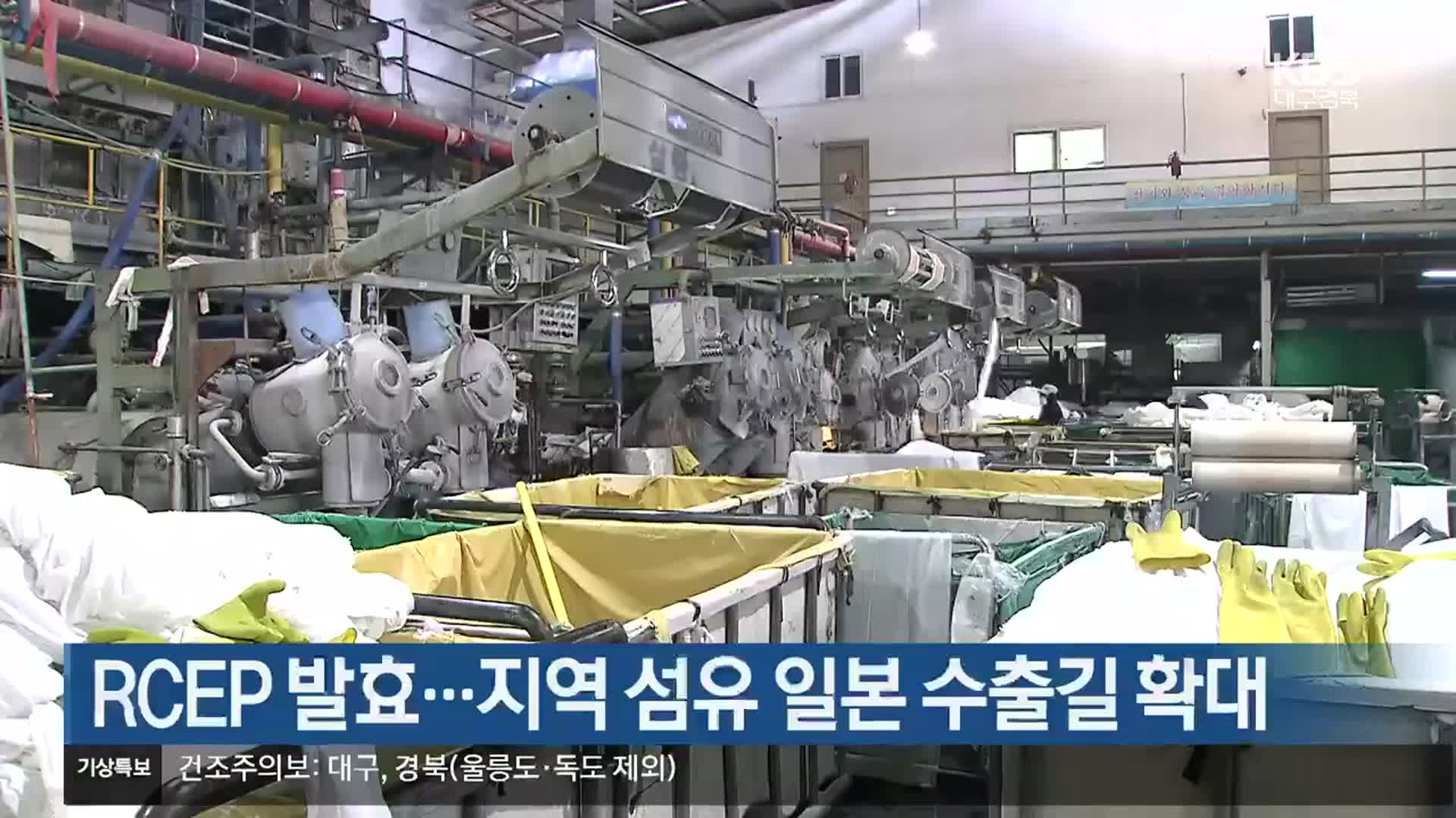 RCEP 발효…대구·경북 섬유 일본 수출길 확대
