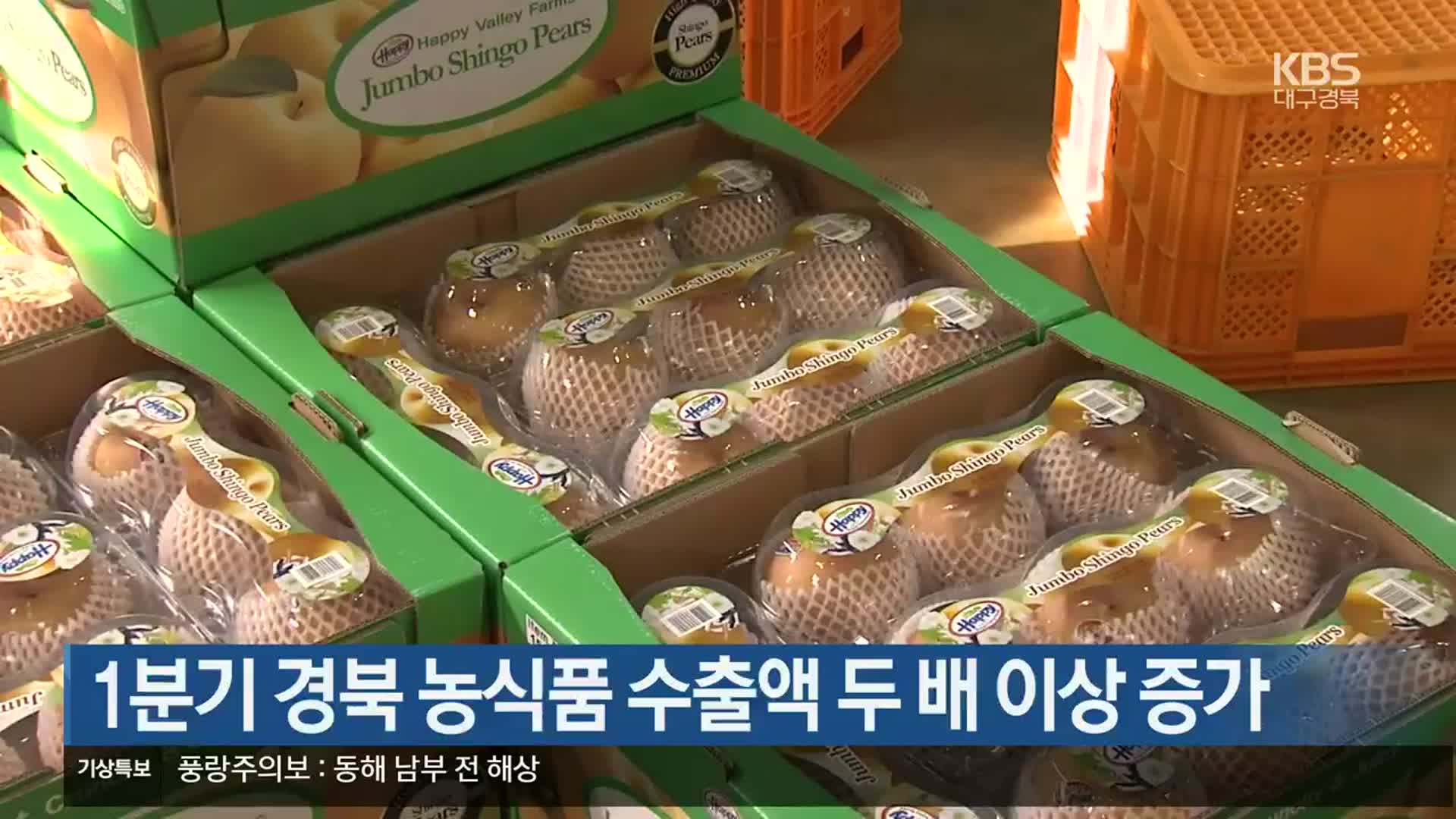 1분기 경북 농식품 수출액 두 배 이상 증가