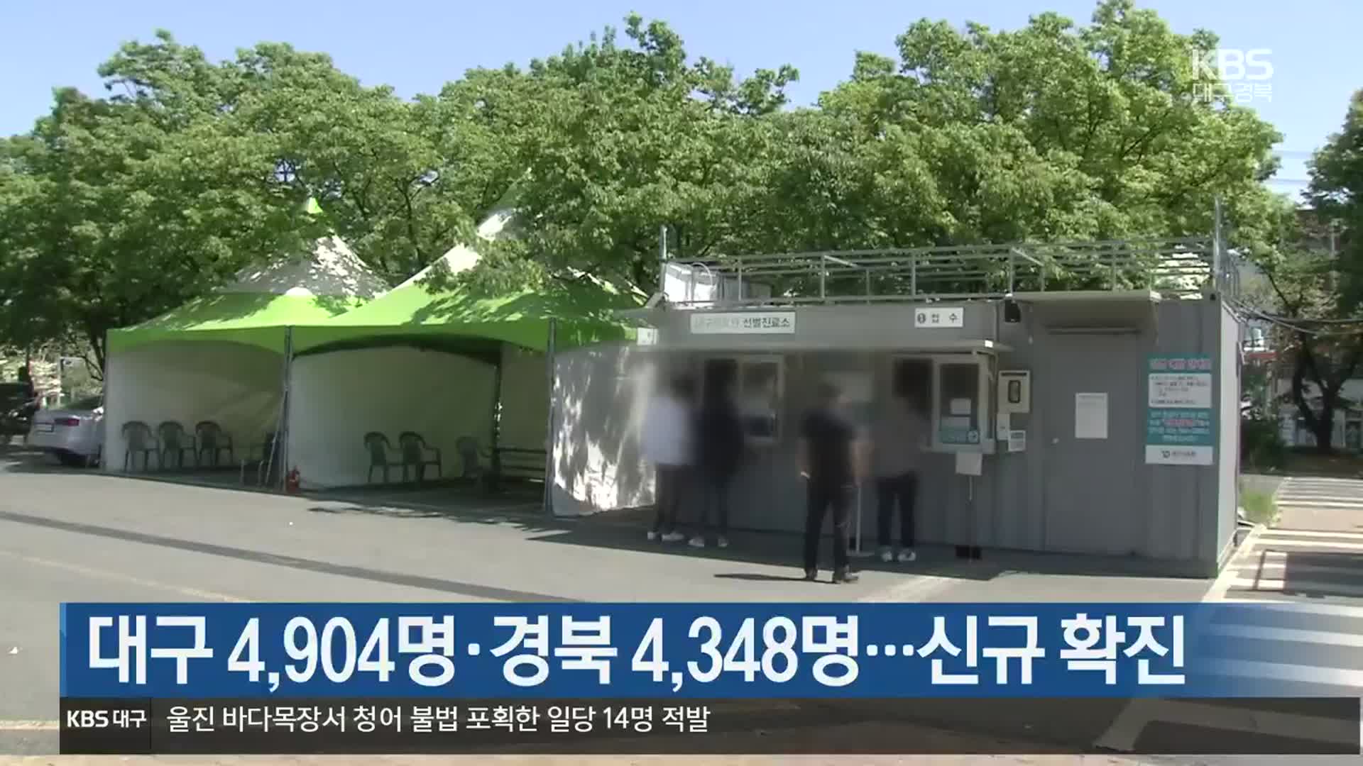 대구 4,904명·경북 4,348명 신규 확진