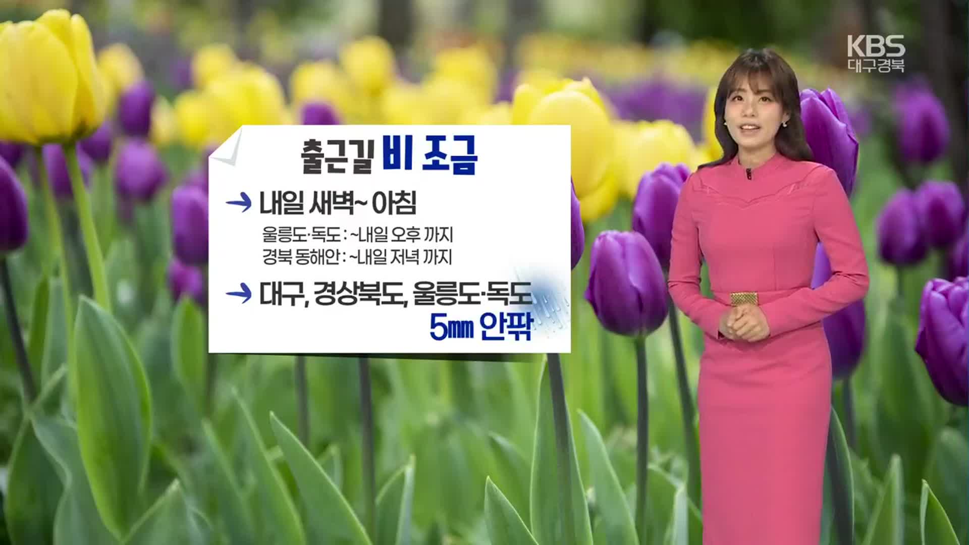 [날씨] 대구·경북 내일 출근길 비 조금…동해안 강한 바람