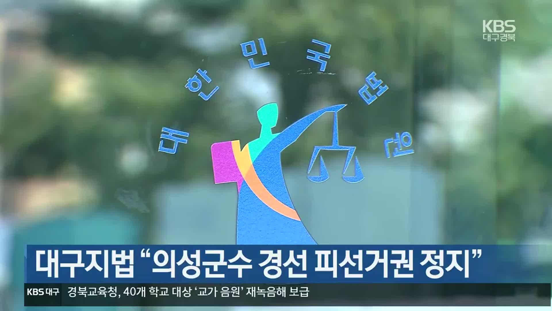 대구지법 “의성군수 경선 피선거권 정지”