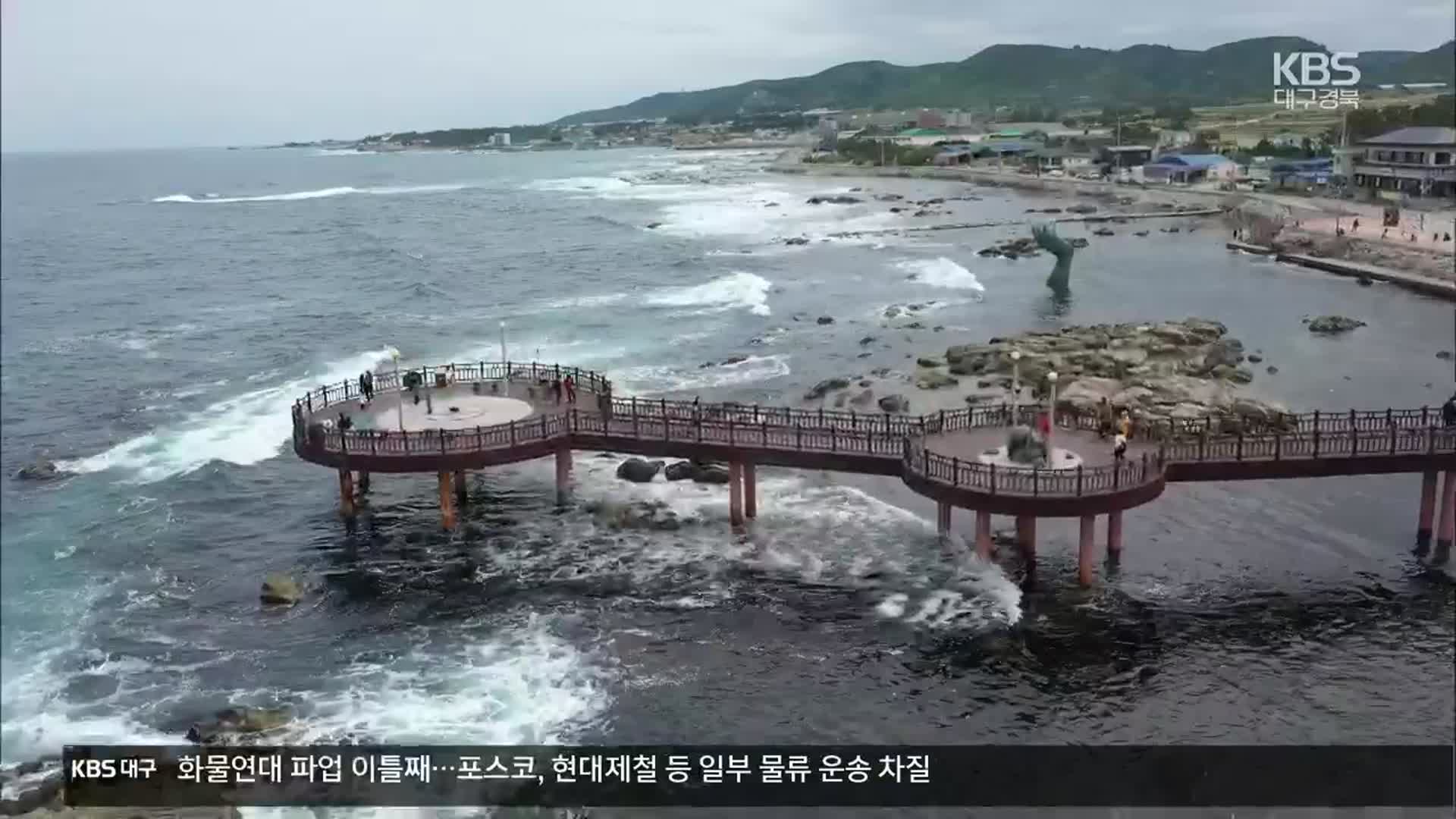 [여기는 포항] 호미반도에서 ‘블루카본’ 해양생태교육