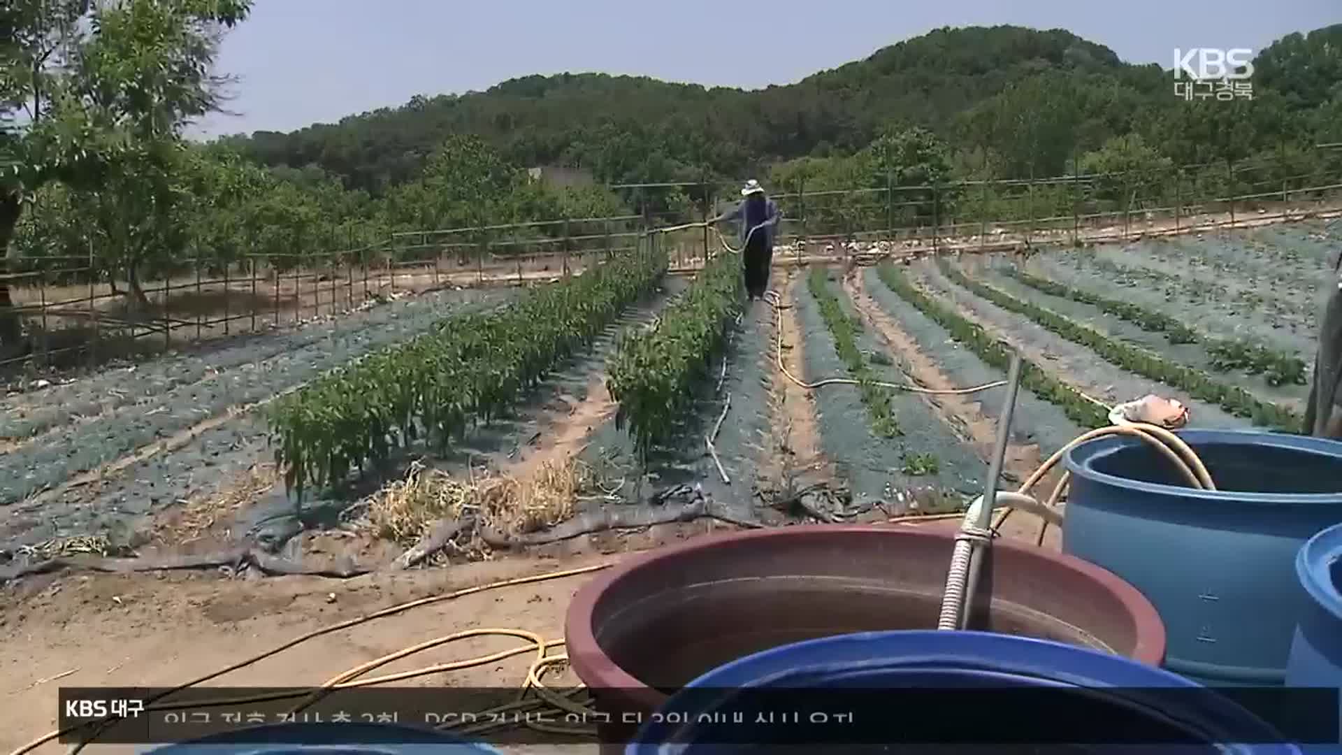 모내기 중단에 농작물 고사…영농현장 가뭄 피해 속출