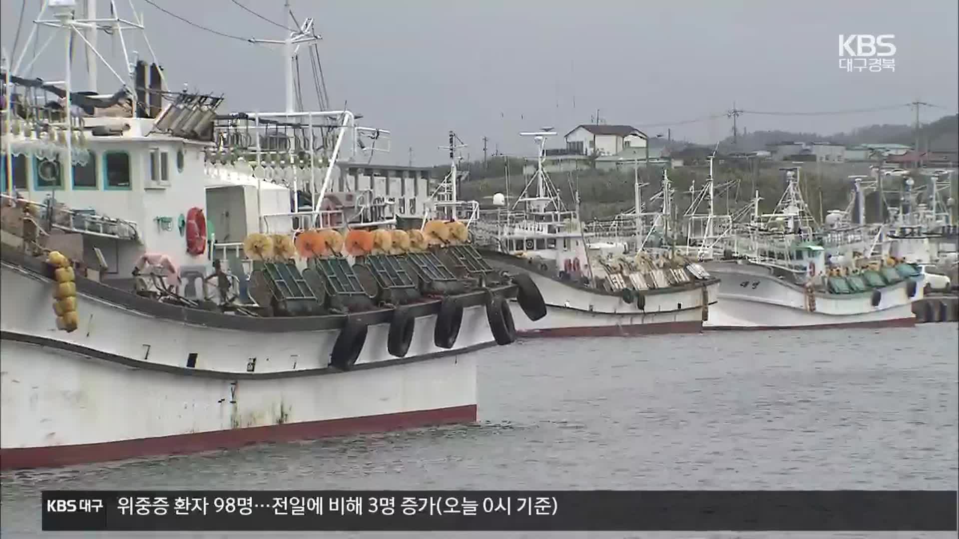 [여기는 포항] ‘오징어 돌아왔지만’…고유가 속 어획량 급감