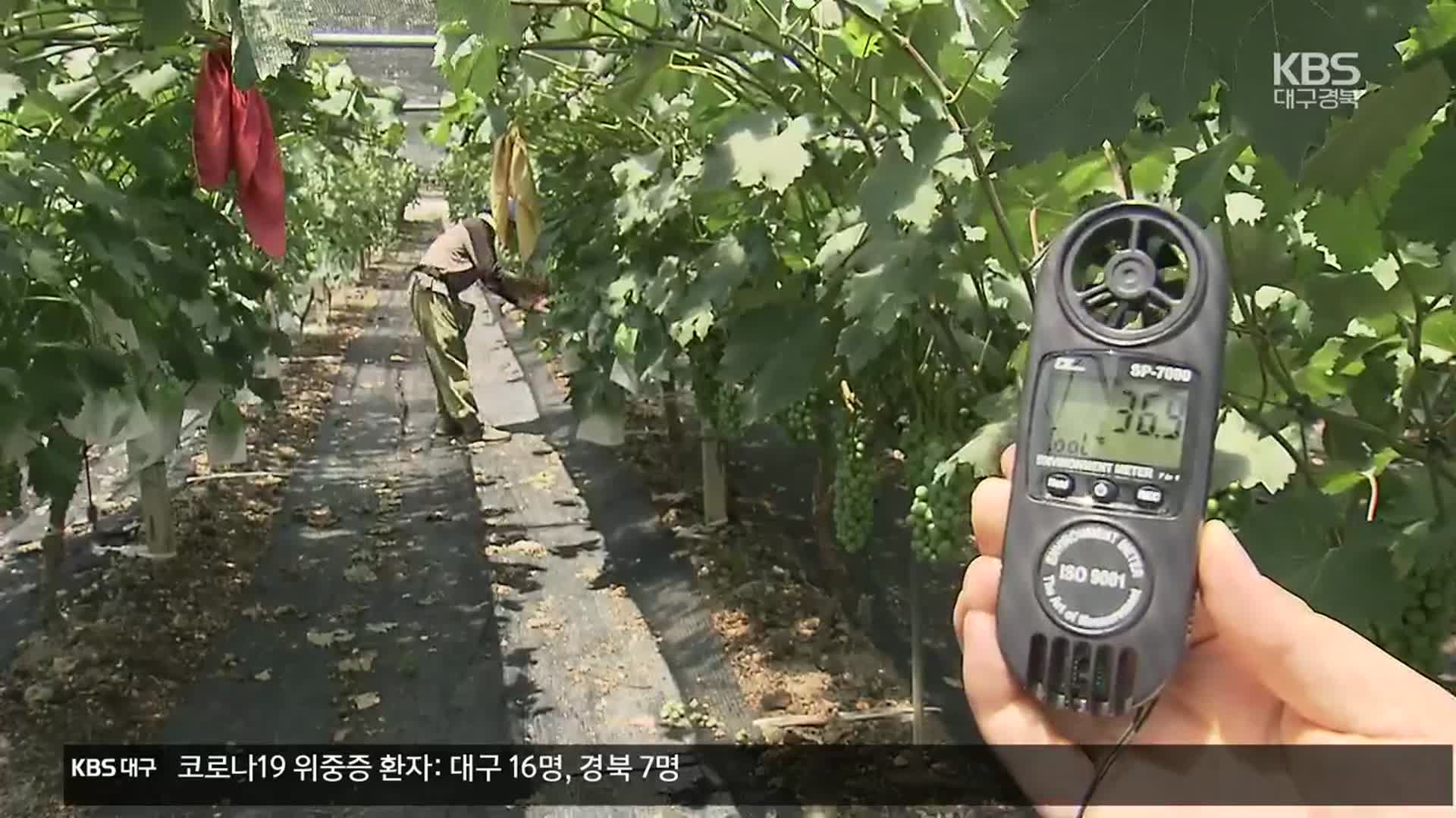 농번기에 때이른 폭염…“농촌 온열질환 비상”