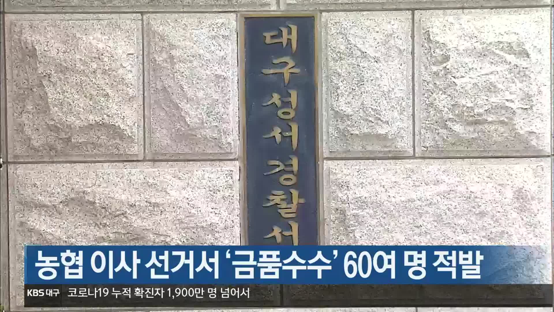 농협 이사 선거서 ‘금품수수’ 60여 명 적발