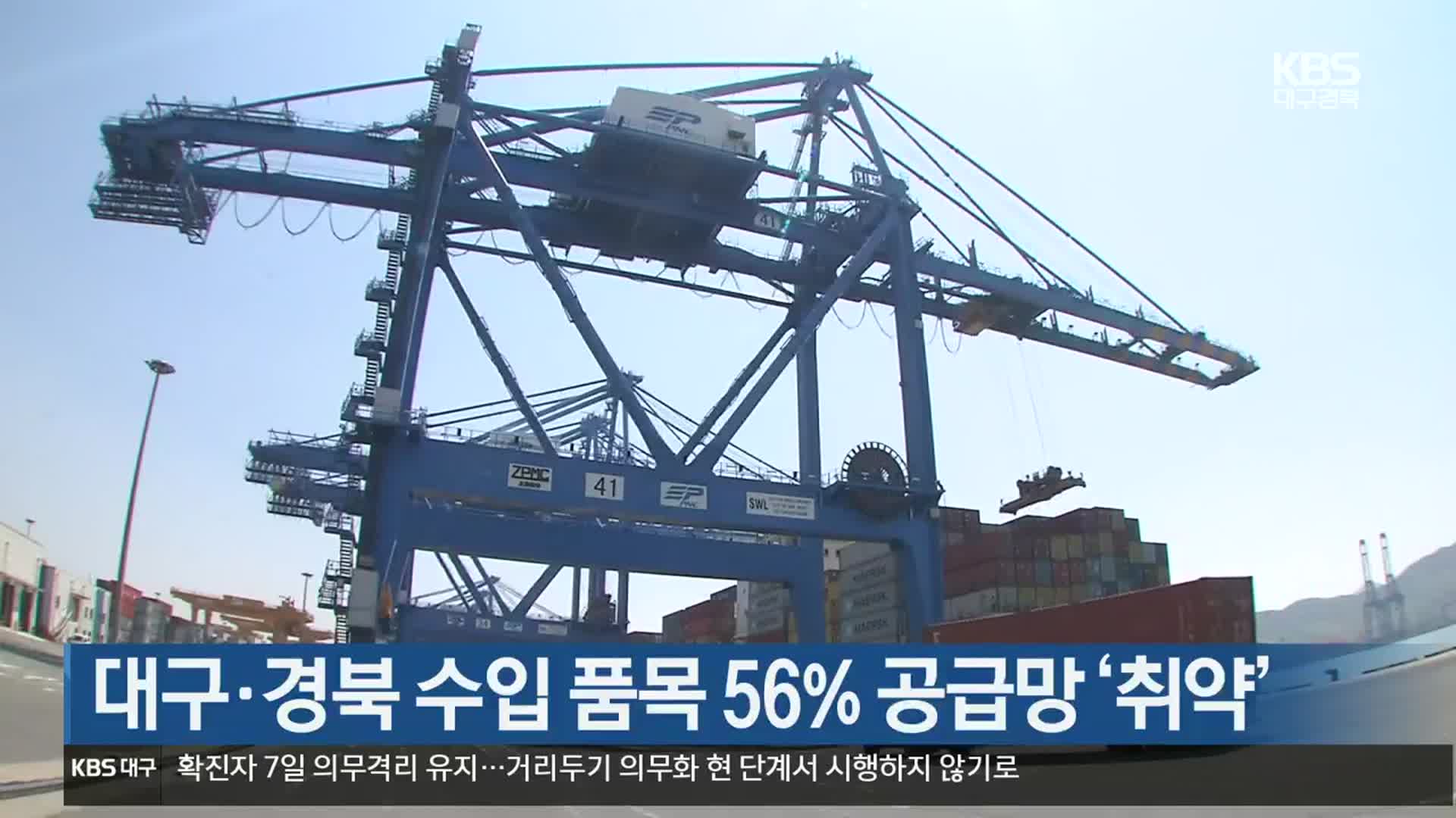 대구·경북 수입 품목 56% 공급망 ‘취약’