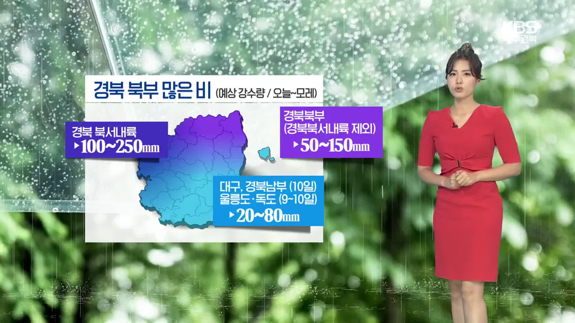 [날씨] 경북 북부 모레까지 최대 250mm 비…대구·경북 무더위 계속
