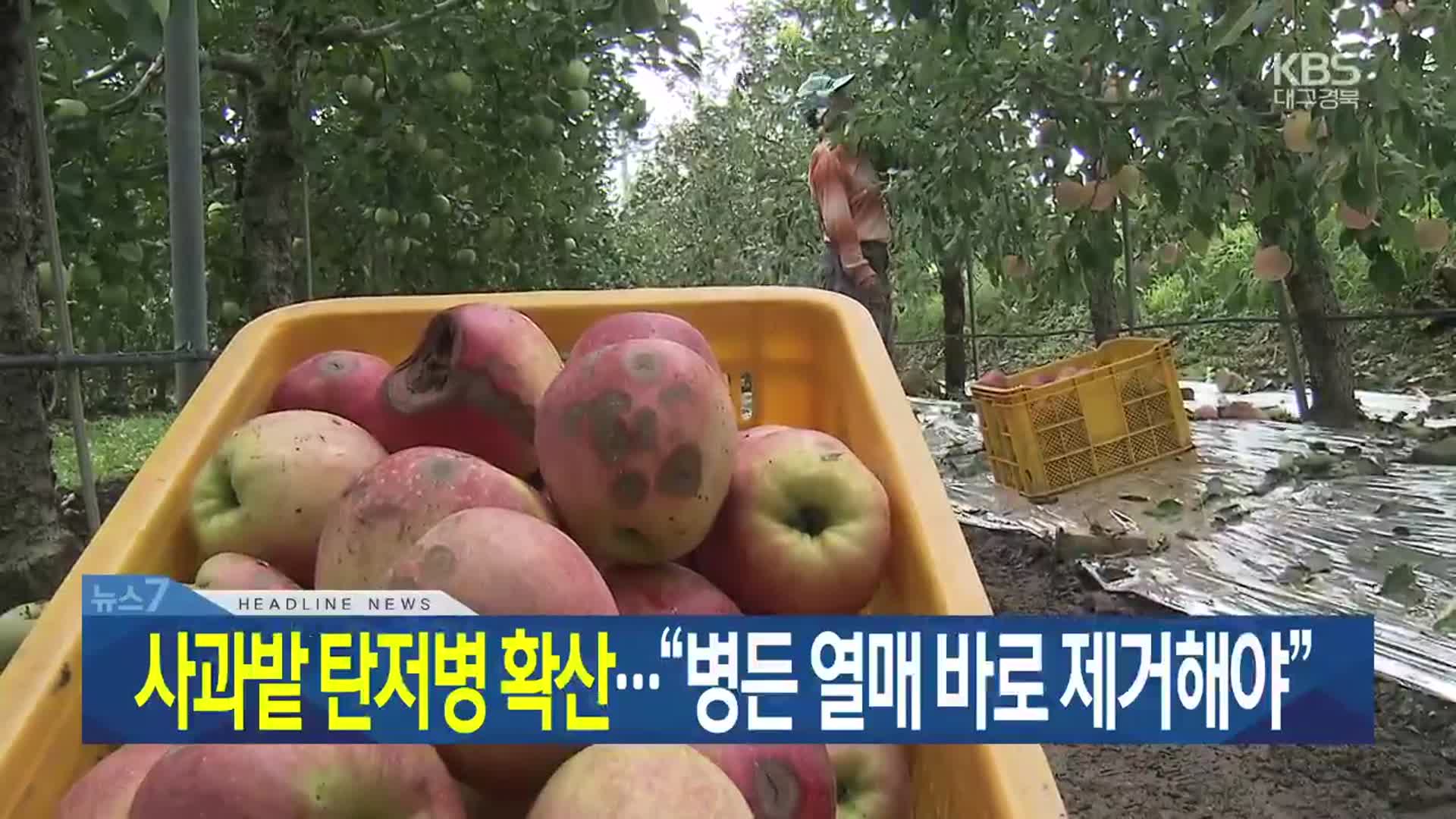 [뉴스7 대구·경북 헤드라인]