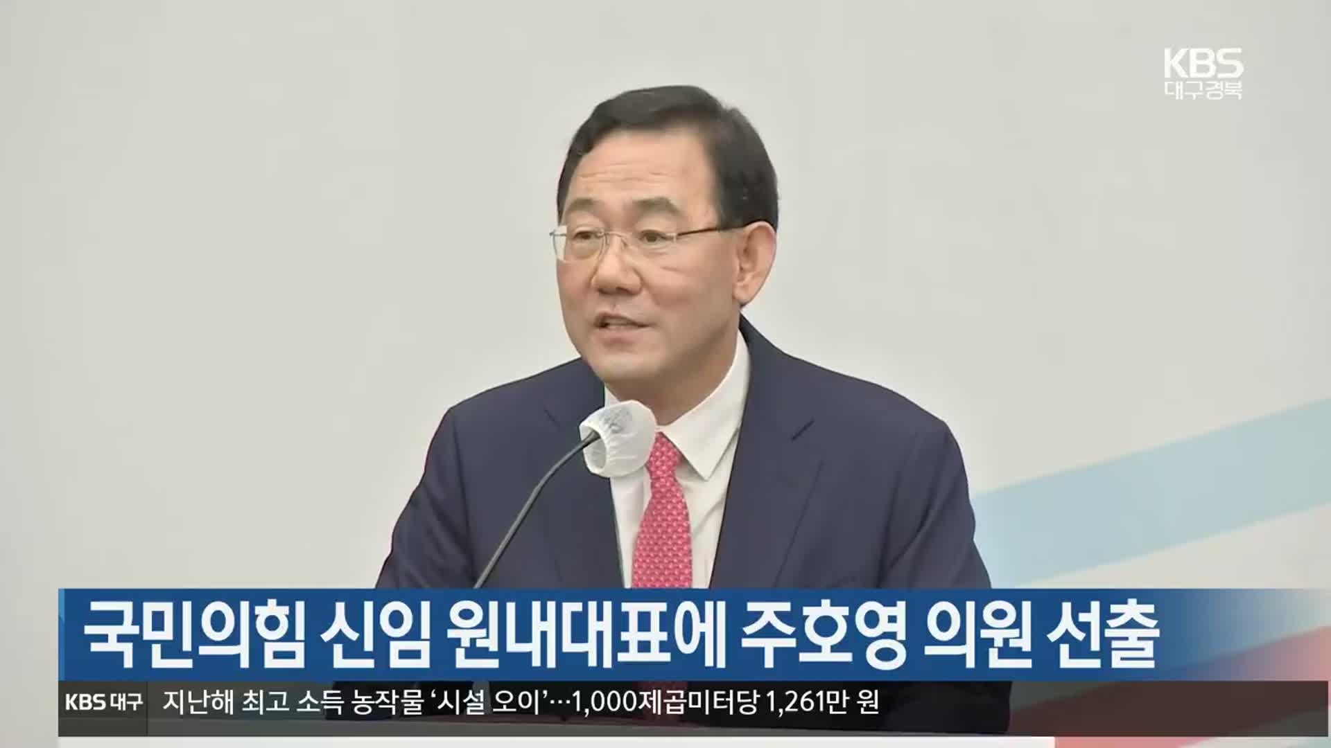 국민의힘 신임 원내대표에 주호영 의원 선출