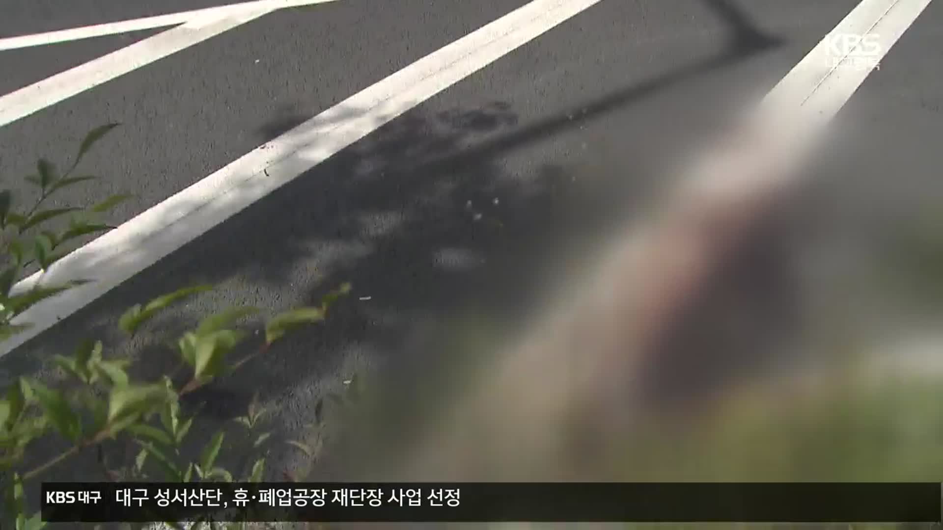 스토킹 30대 대로서 흉기 난동…피해 여성 중상