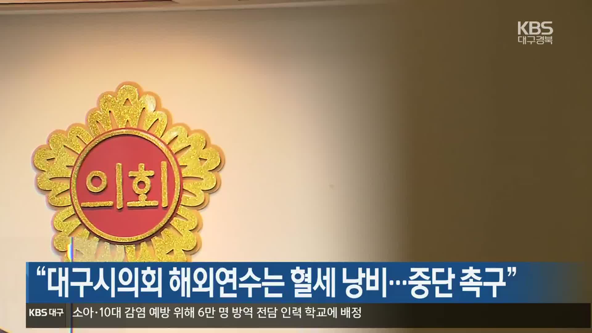 “대구시의회 해외연수는 혈세 낭비…중단 촉구”