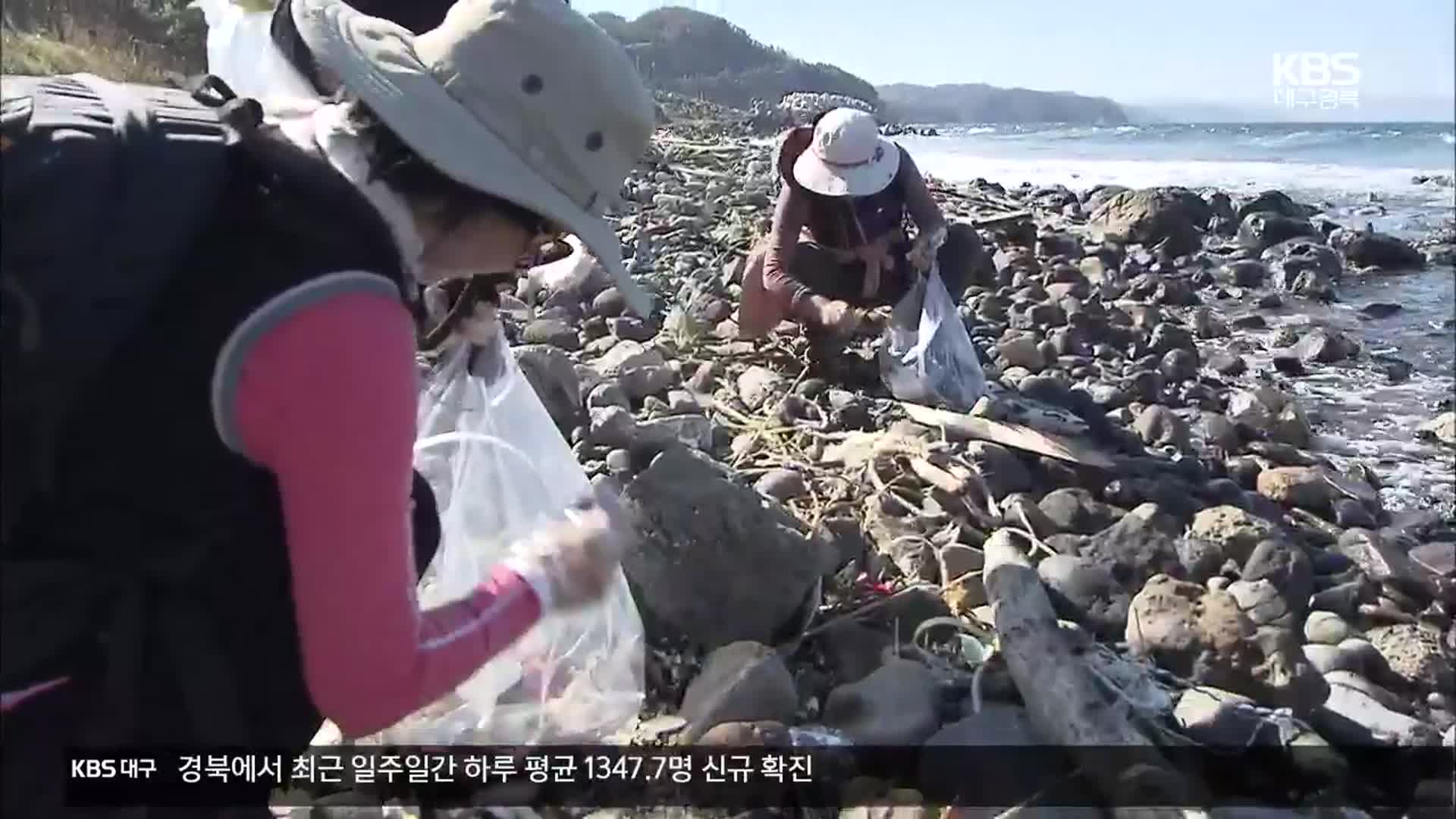 [여기는 포항] 태풍 쓰레기 줍는 착한 여행 ‘비치코밍’