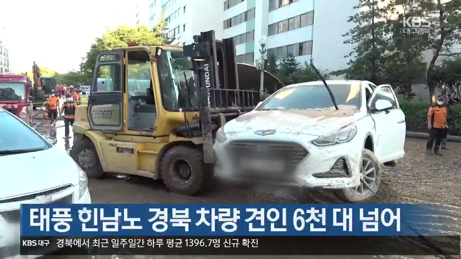 태풍 힌남노 경북 차량 견인 6천 대 넘어