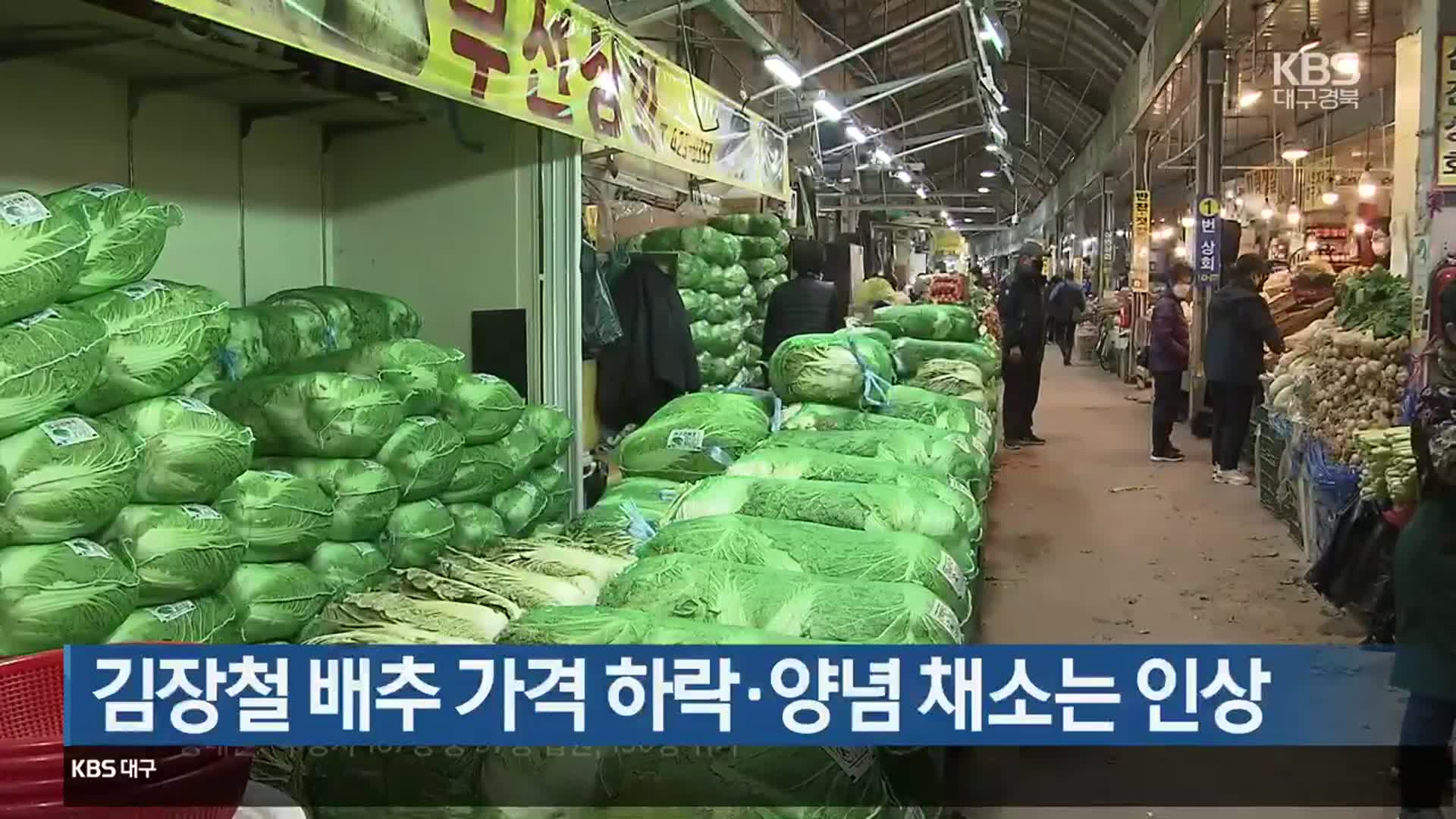 김장철 배추 가격 하락·양념 채소는 인상