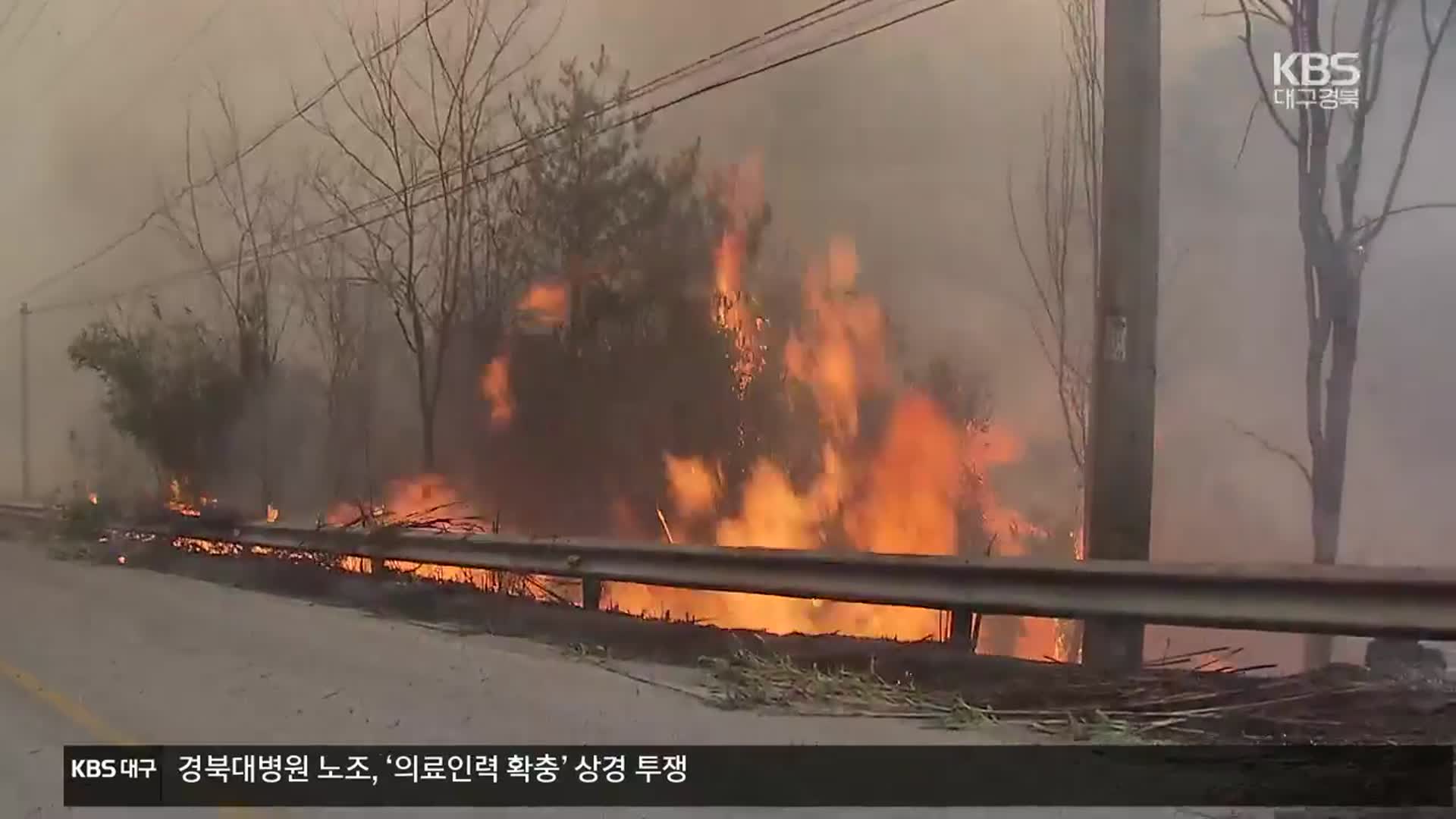 “11월이 가장 위험”…가을 산불 주의보