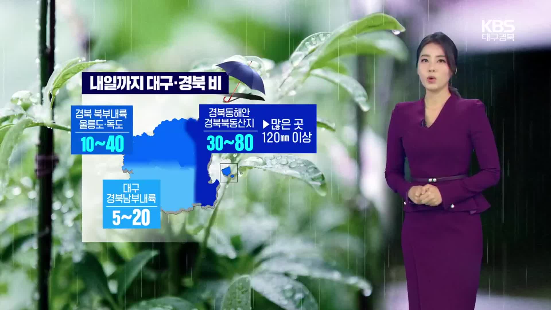 [날씨] 대구·경북 내일까지 비…강수량 최대 120mm↑