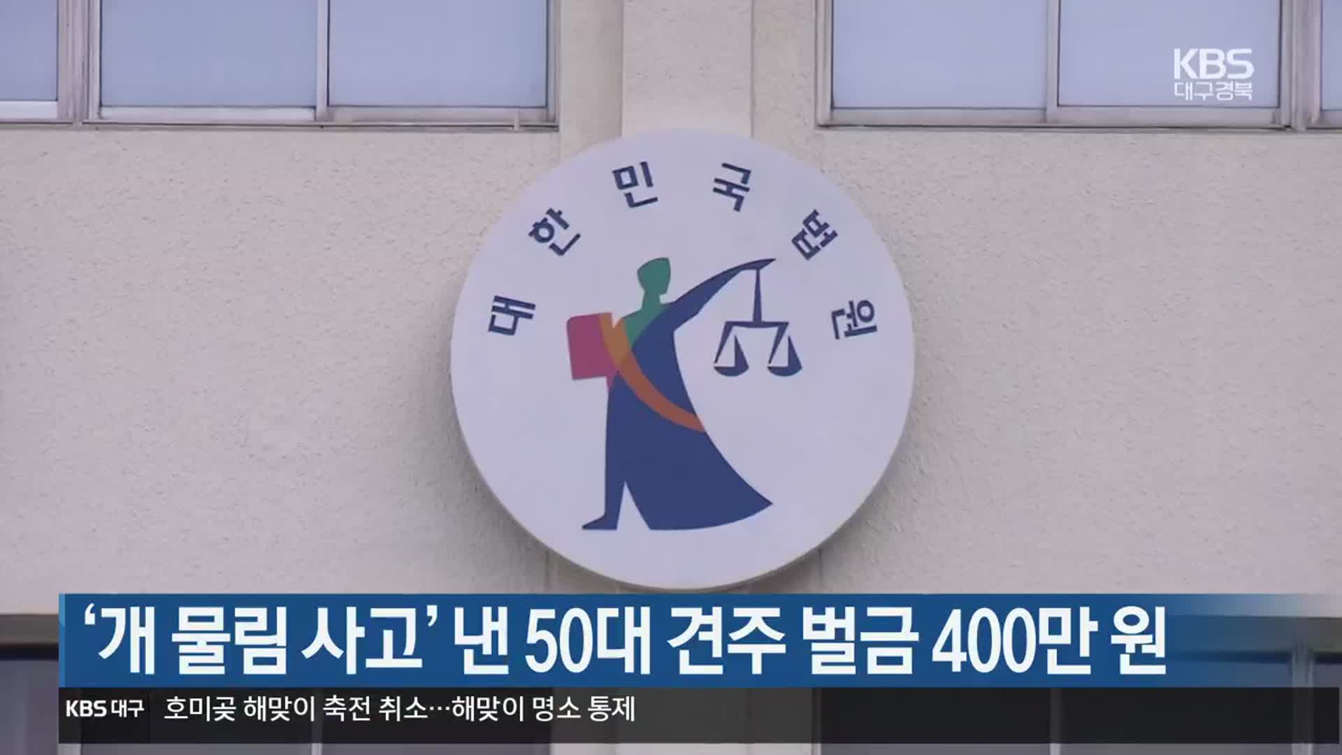 ‘개 물림 사고’ 낸 50대 견주 벌금 400만 원