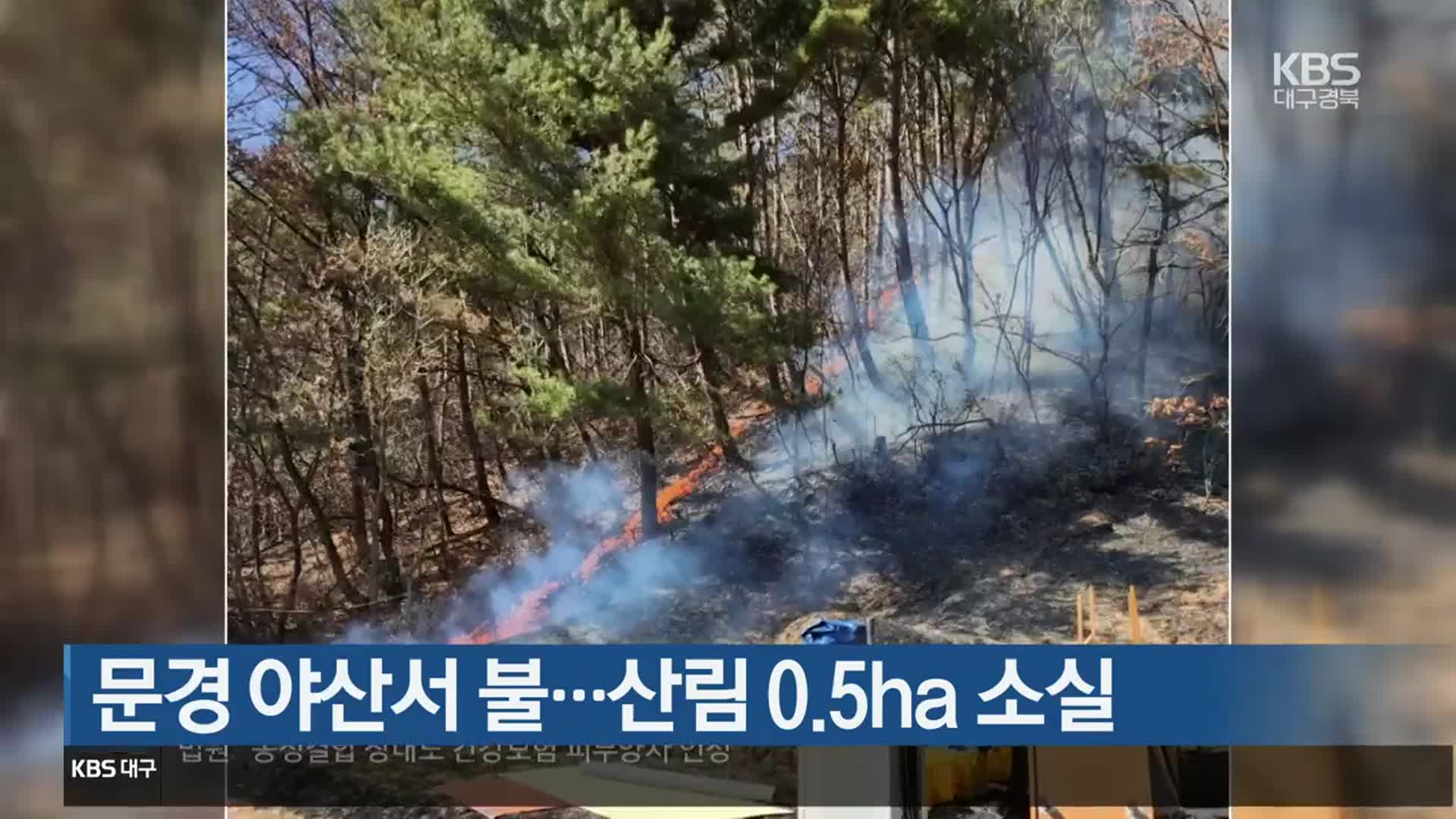 문경 야산서 불…산림 0.5ha 소실