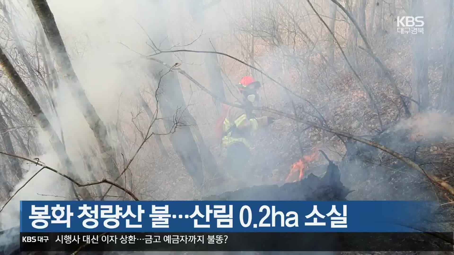 봉화 청량산 불…산림 0.2ha 소실