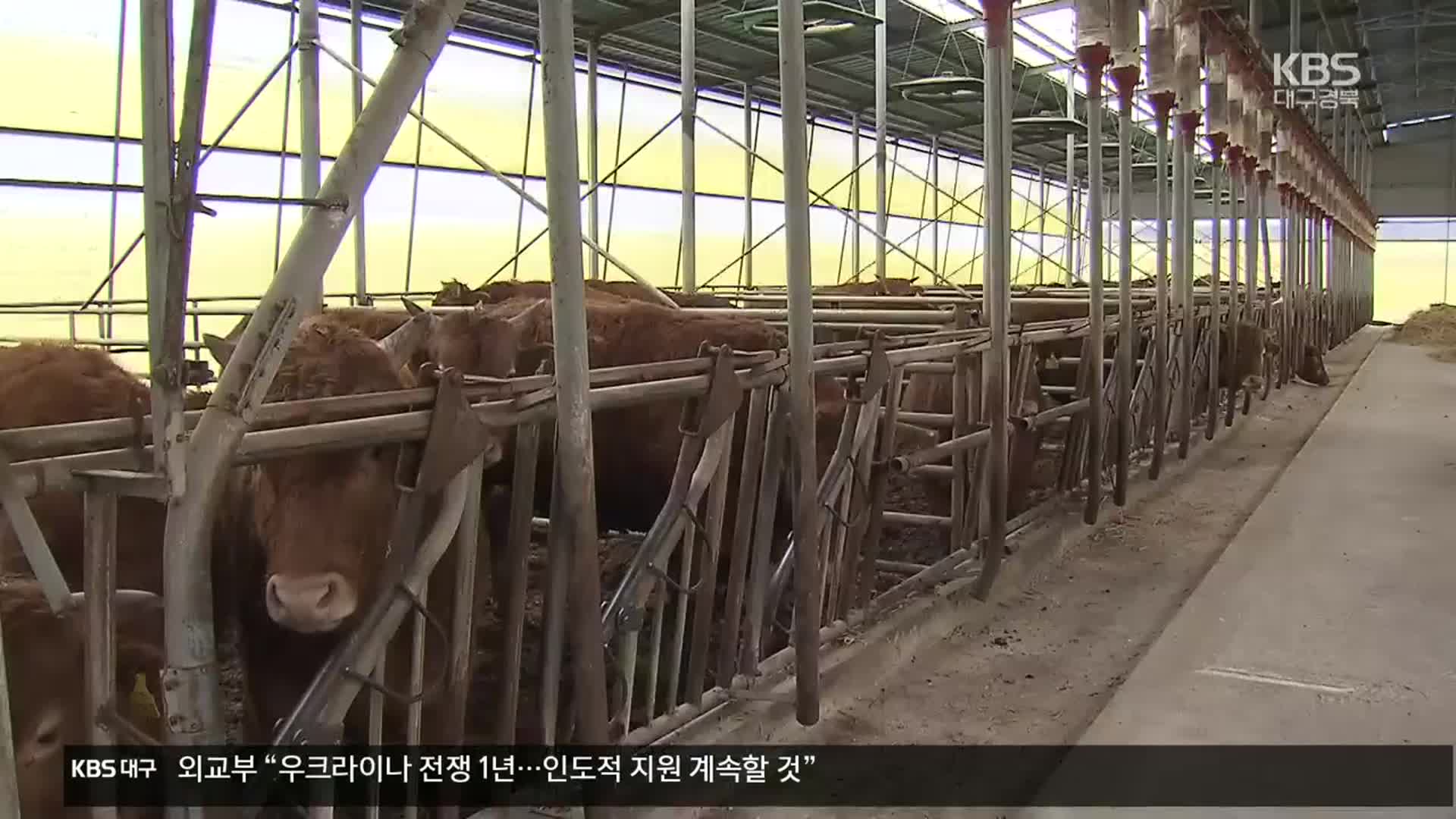 시군 경계 돈사, 피해는 인접주민…제각각 조례 손 봐야