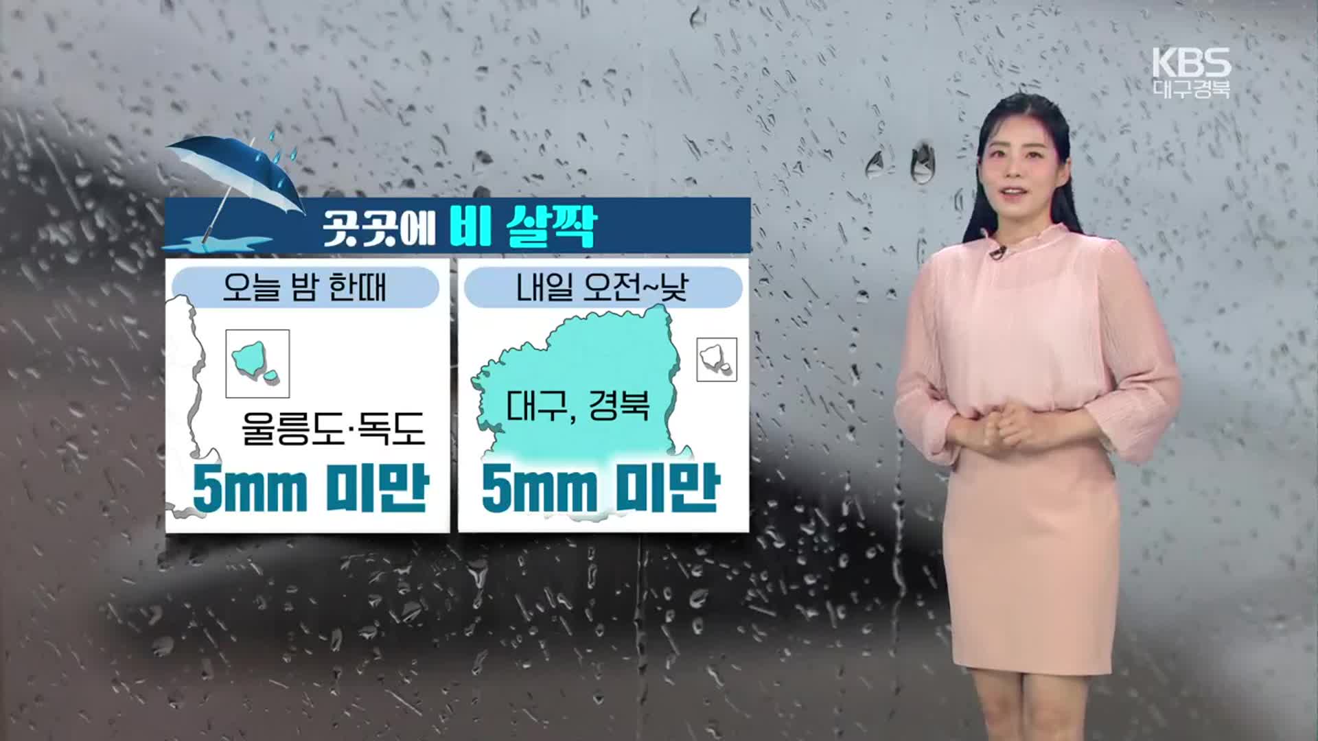 [날씨] 대구·경북 내일 곳곳 빗방울…한낮 최고 20도 안팎