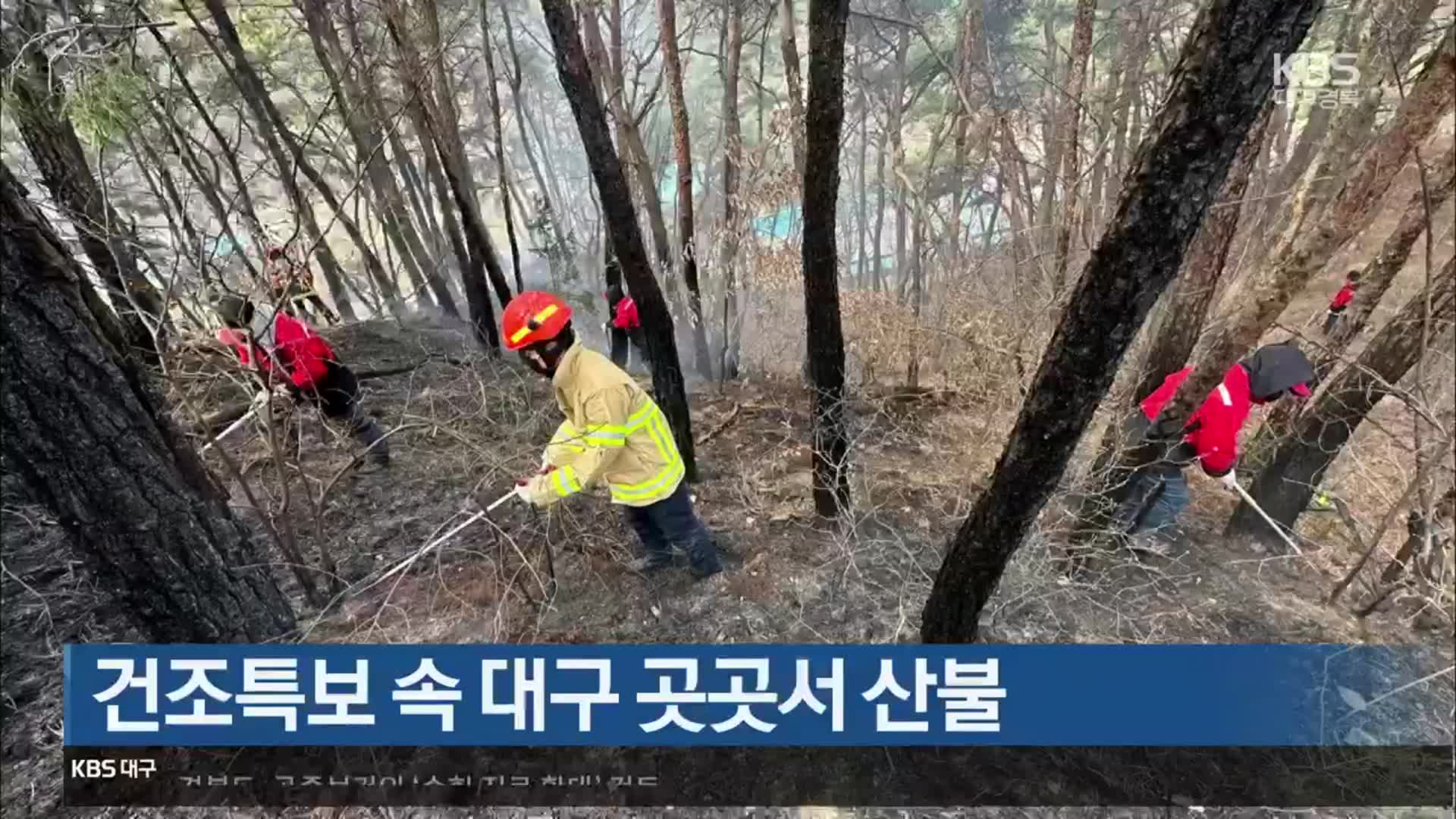 건조특보 속 대구 곳곳서 산불