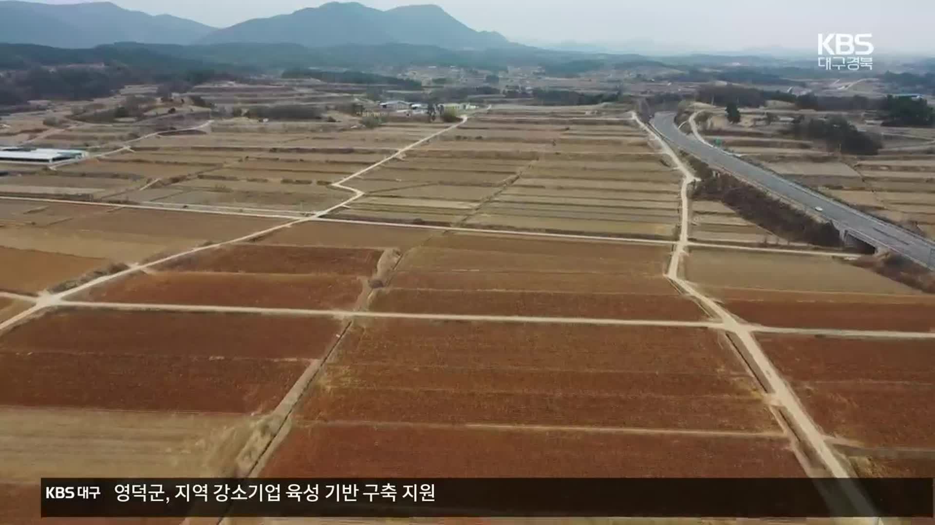 쌀값 하락에도 벼 재배 의향 여전