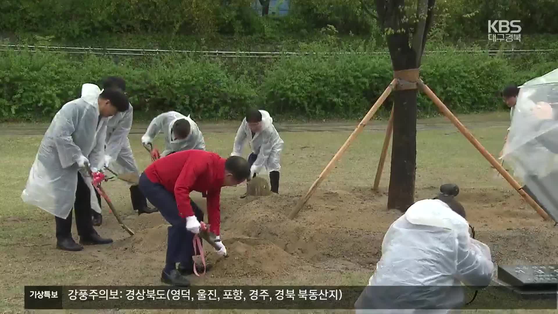 개발지서 버려진 나무, 도심 하천에 심어 ‘새활용’