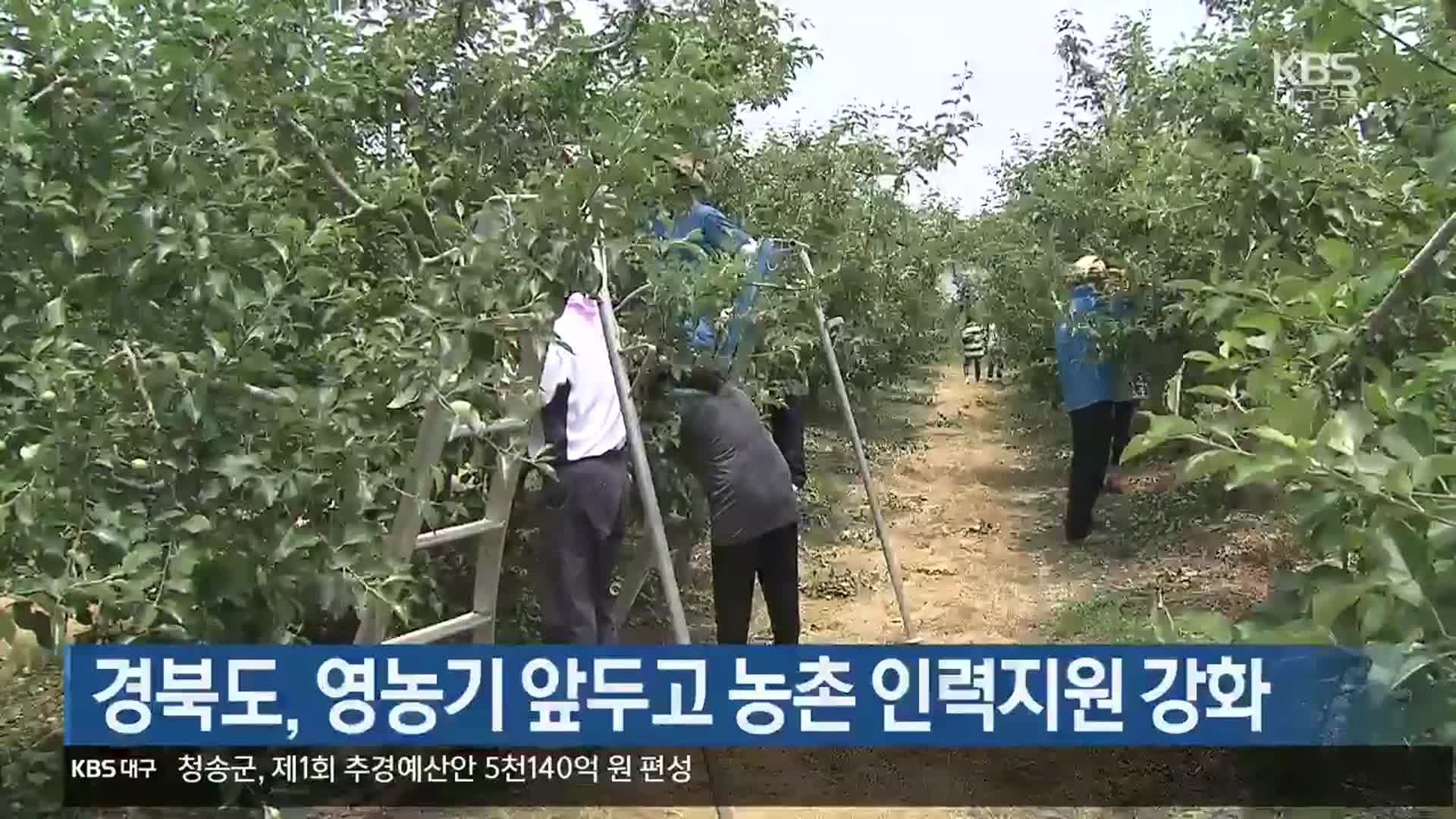 경북도, 영농기 앞두고 농촌 인력지원 강화