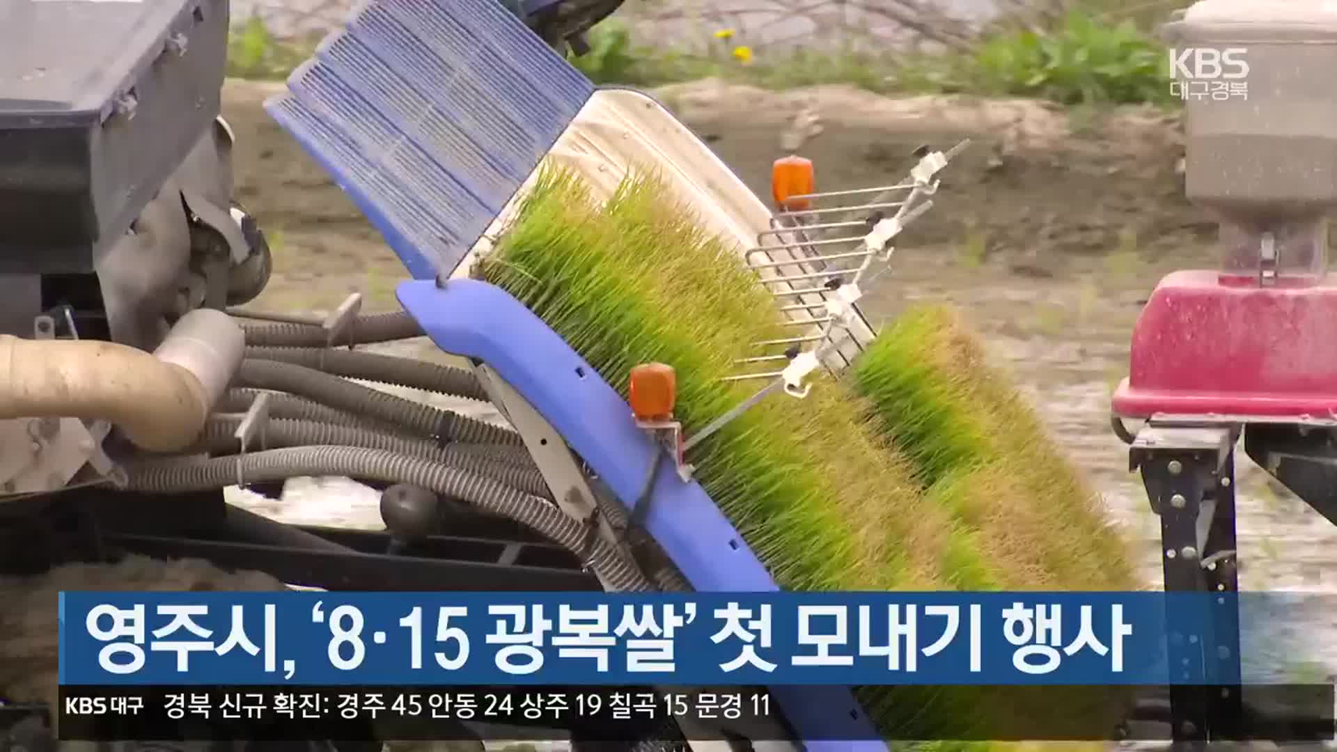 [여기는 안동] 영주시, ‘8‧15 광복쌀’ 첫 모내기 행사 외