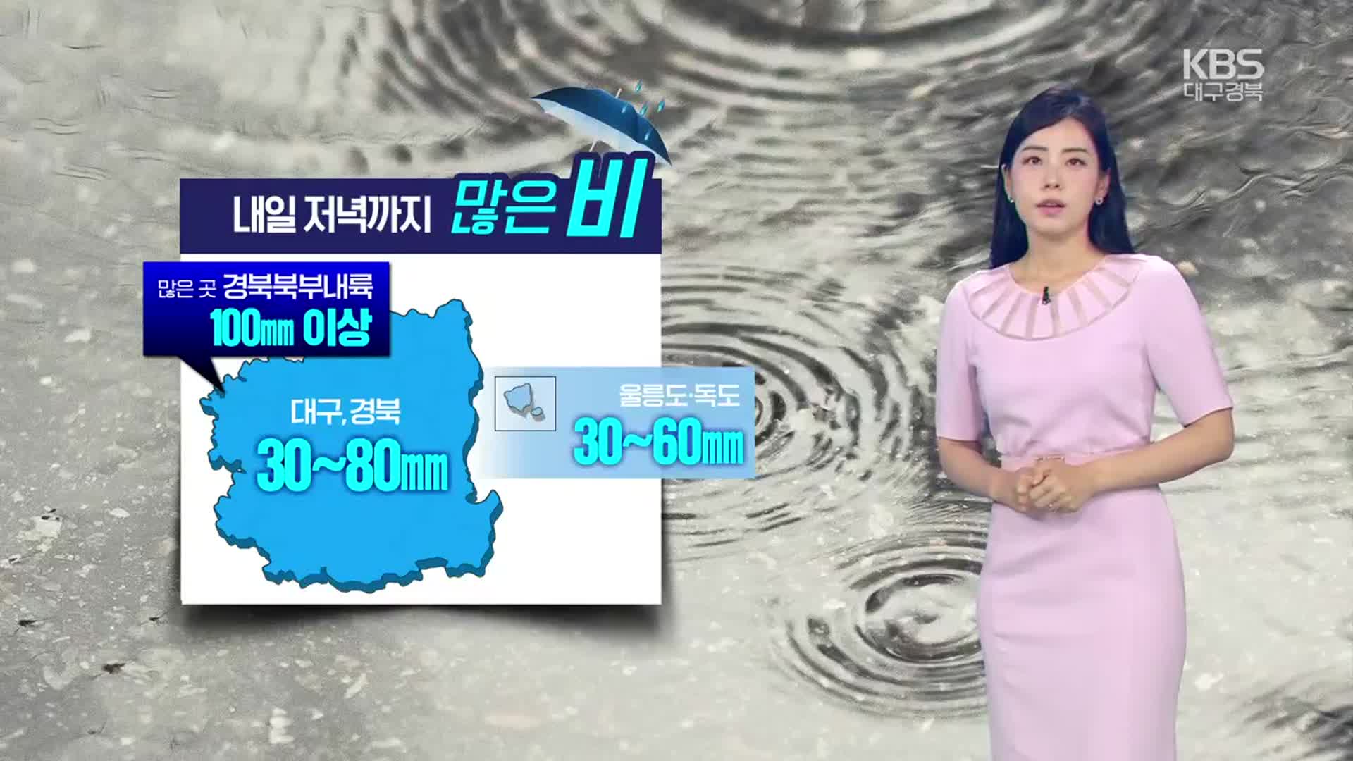 [날씨] 경북 곳곳 호우특보…대구·경북 내일까지 최대 100mm ↑ 비