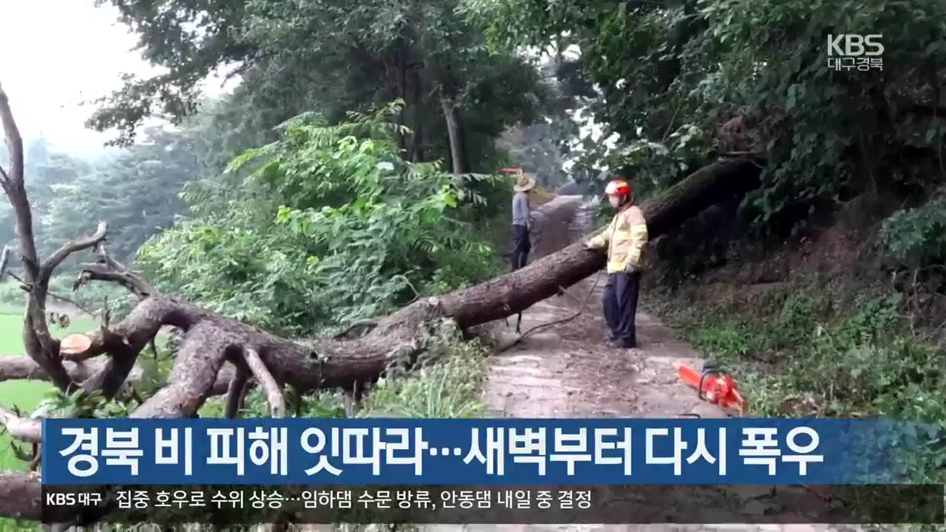 경북 비 피해 잇따라…새벽부터 다시 폭우