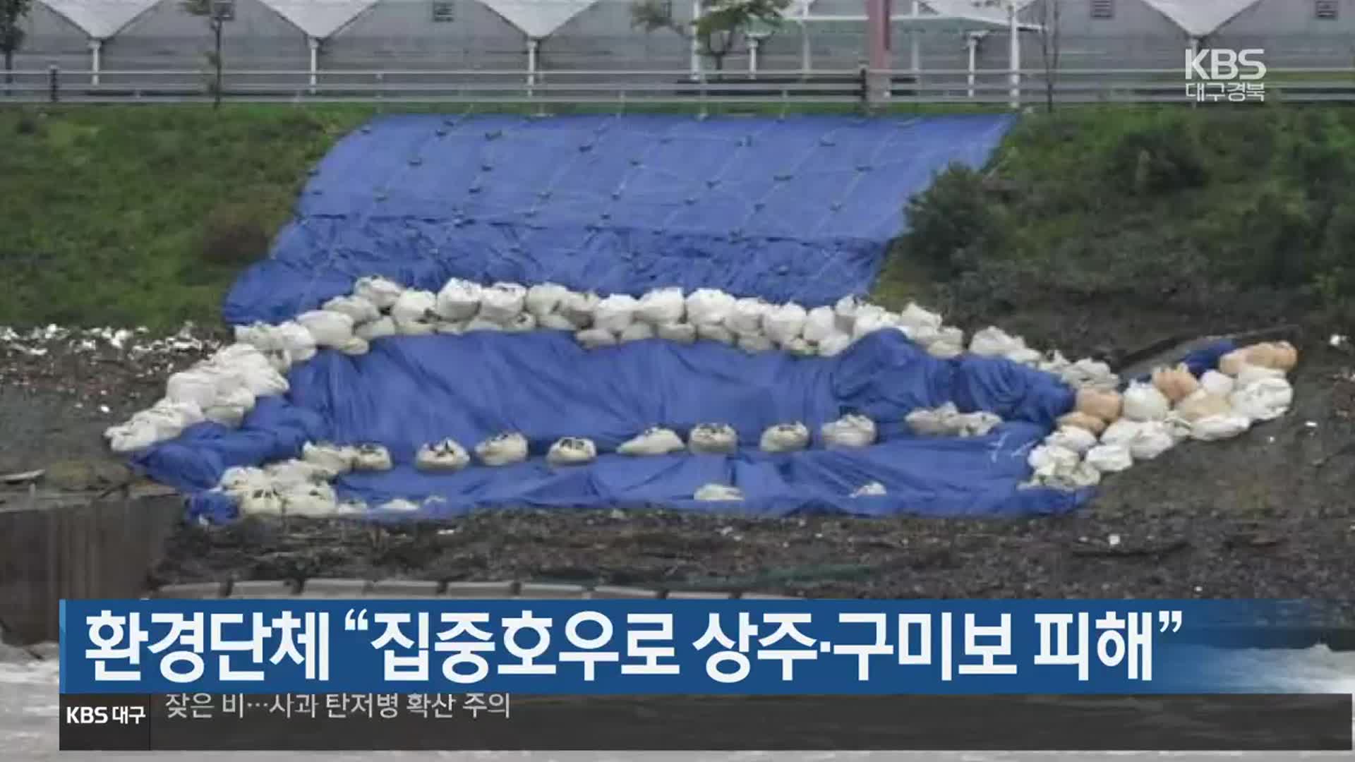 환경단체 “집중호우로 상주·구미보 피해”