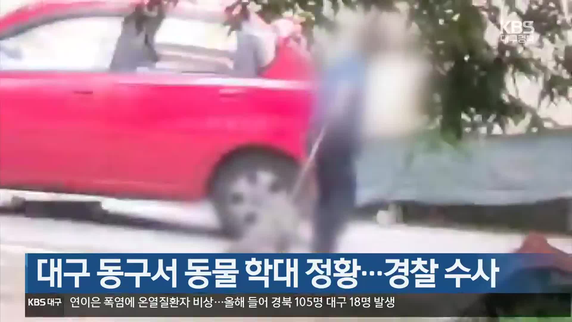 대구 동구서 동물 학대 정황…경찰 수사