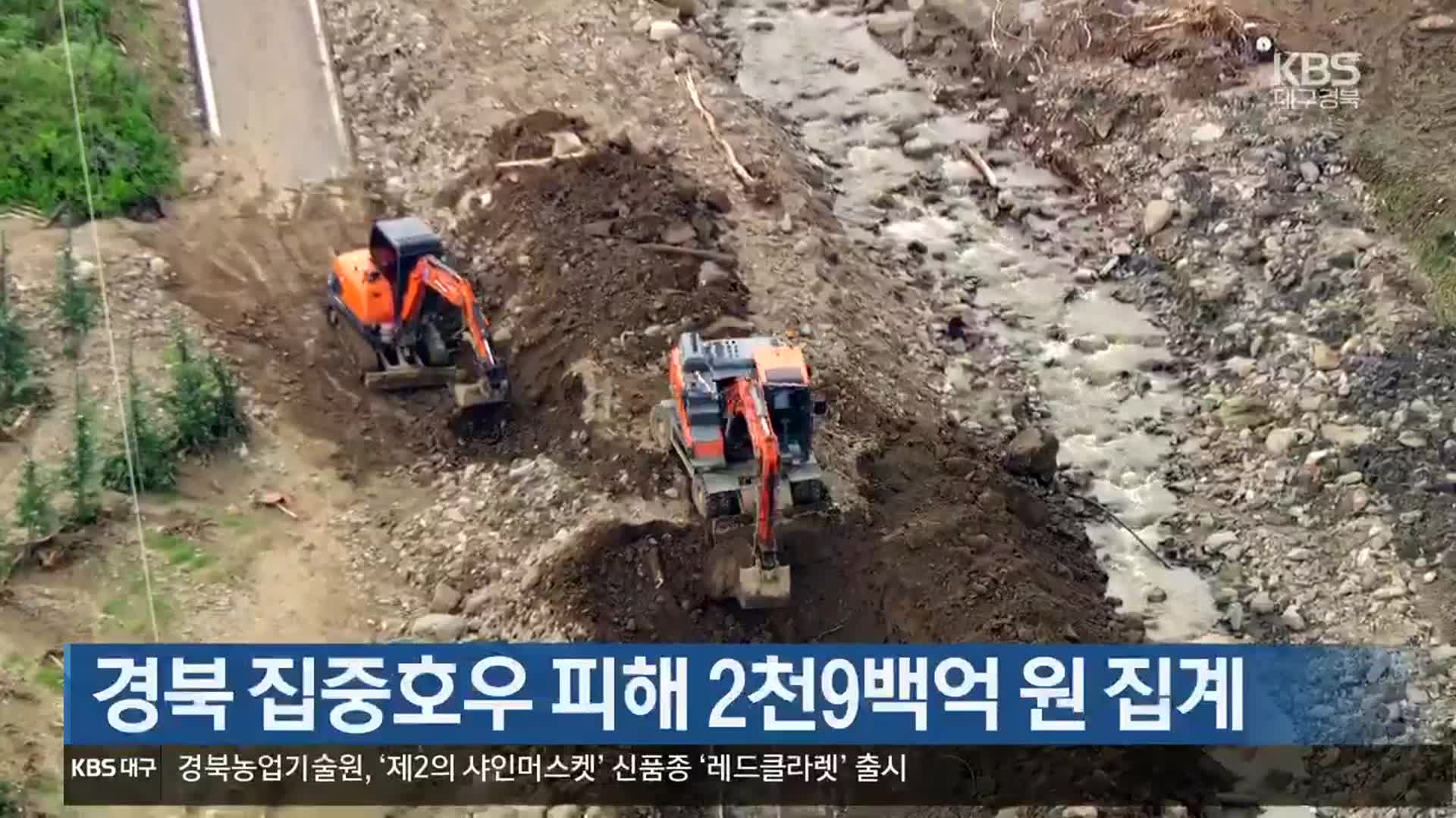 경북 집중호우 피해 2천9백억 원 집계