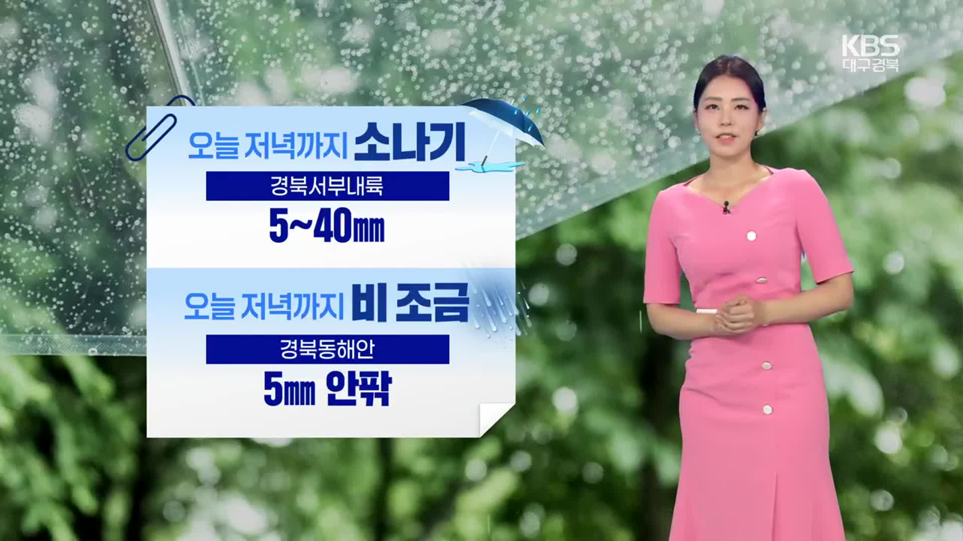 [날씨] 대구·경북 서부내륙 오늘 저녁까지 소나기…내일도 무더위 계속