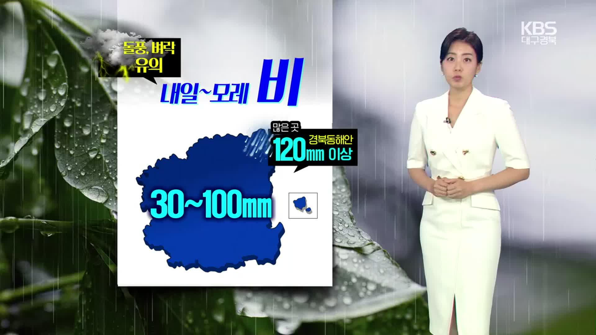 [날씨] 대구·경북 내일 아침부터 강풍 동반 비…최대 120mm