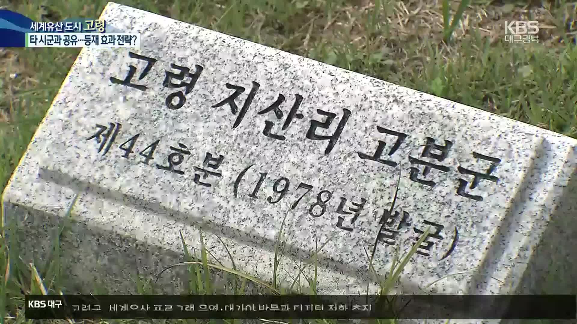 ‘7개 시군 공유’ 세계유산…고령군 선점 과제는?