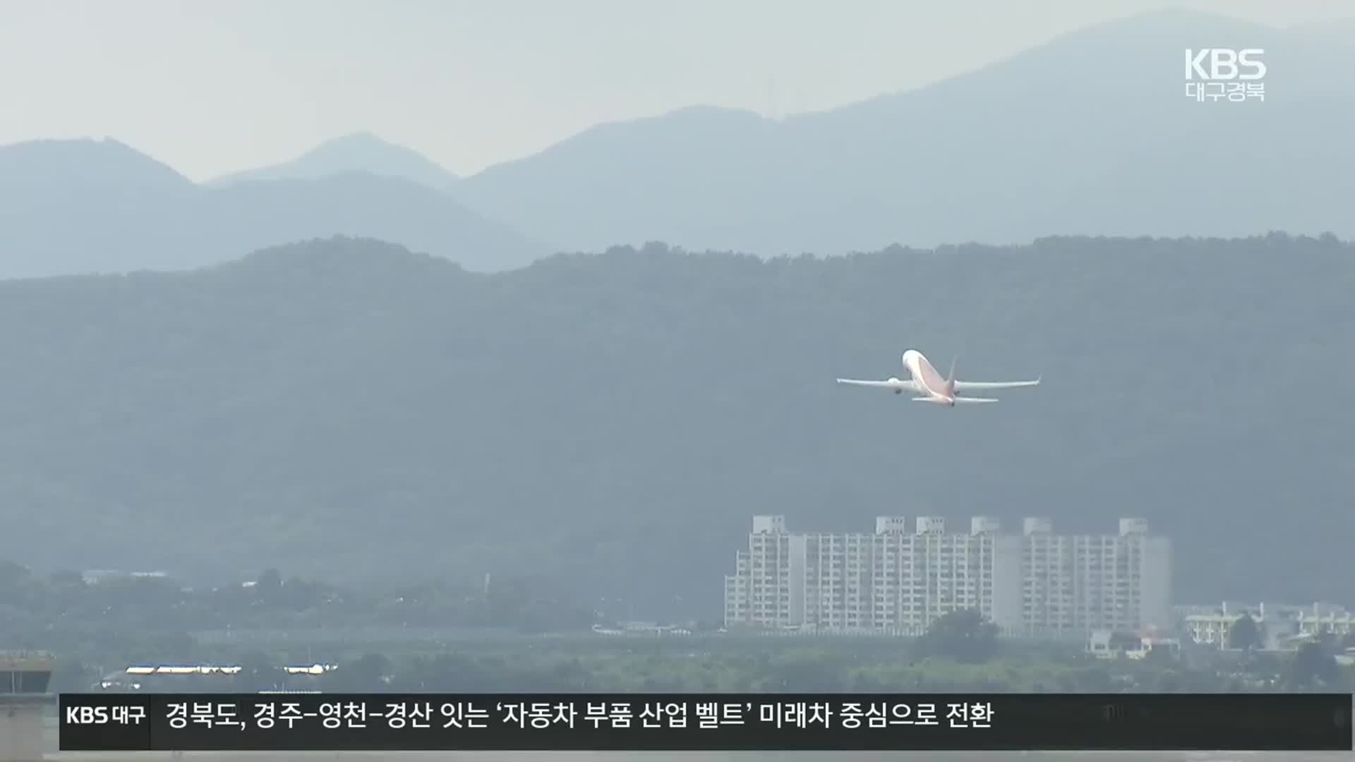 “신공항 화물터미널 군위 배치가 당초 합의”