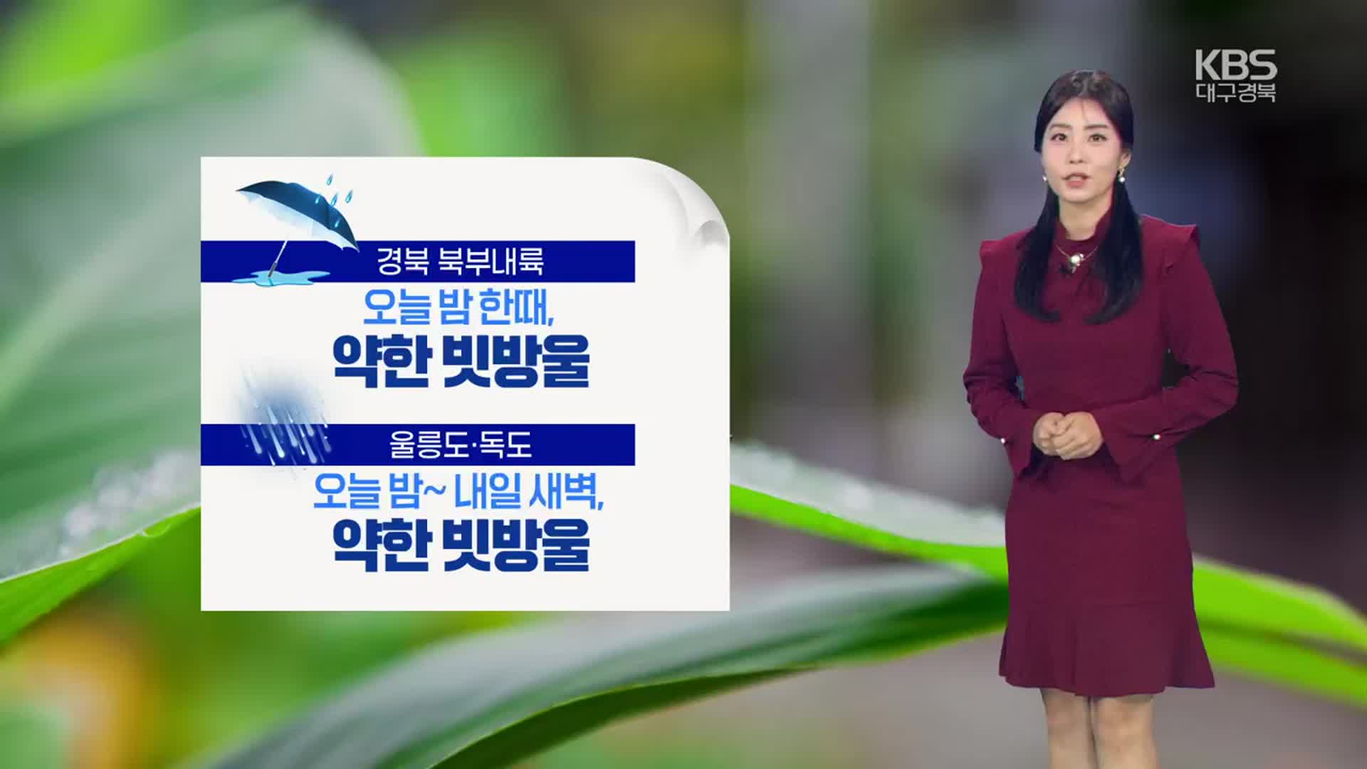 [날씨] 경북 일부 지역 밤부터 약한 빗방울…아침 기온 ↓