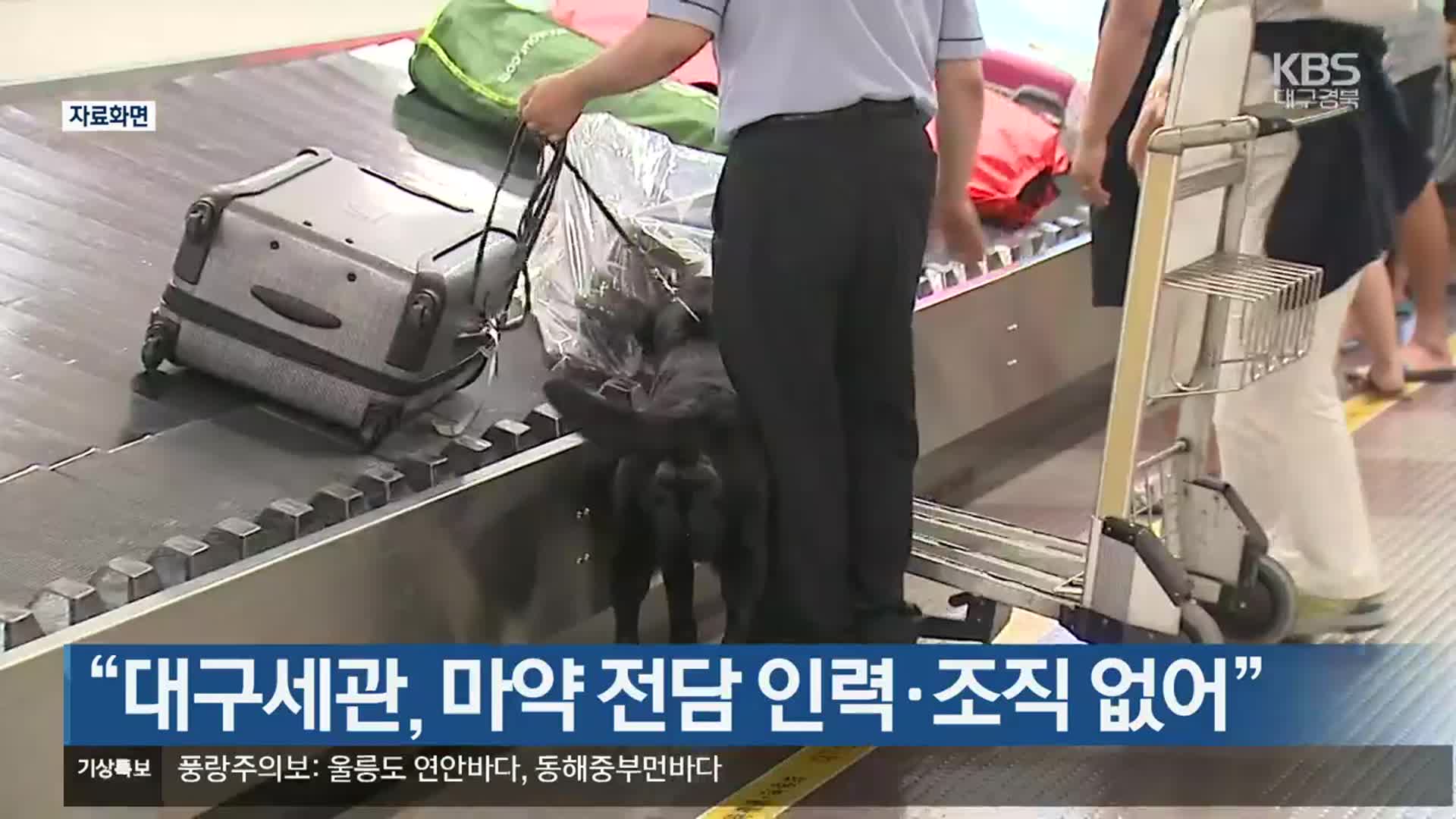 “대구세관, 마약 전담 인력·조직 없어”