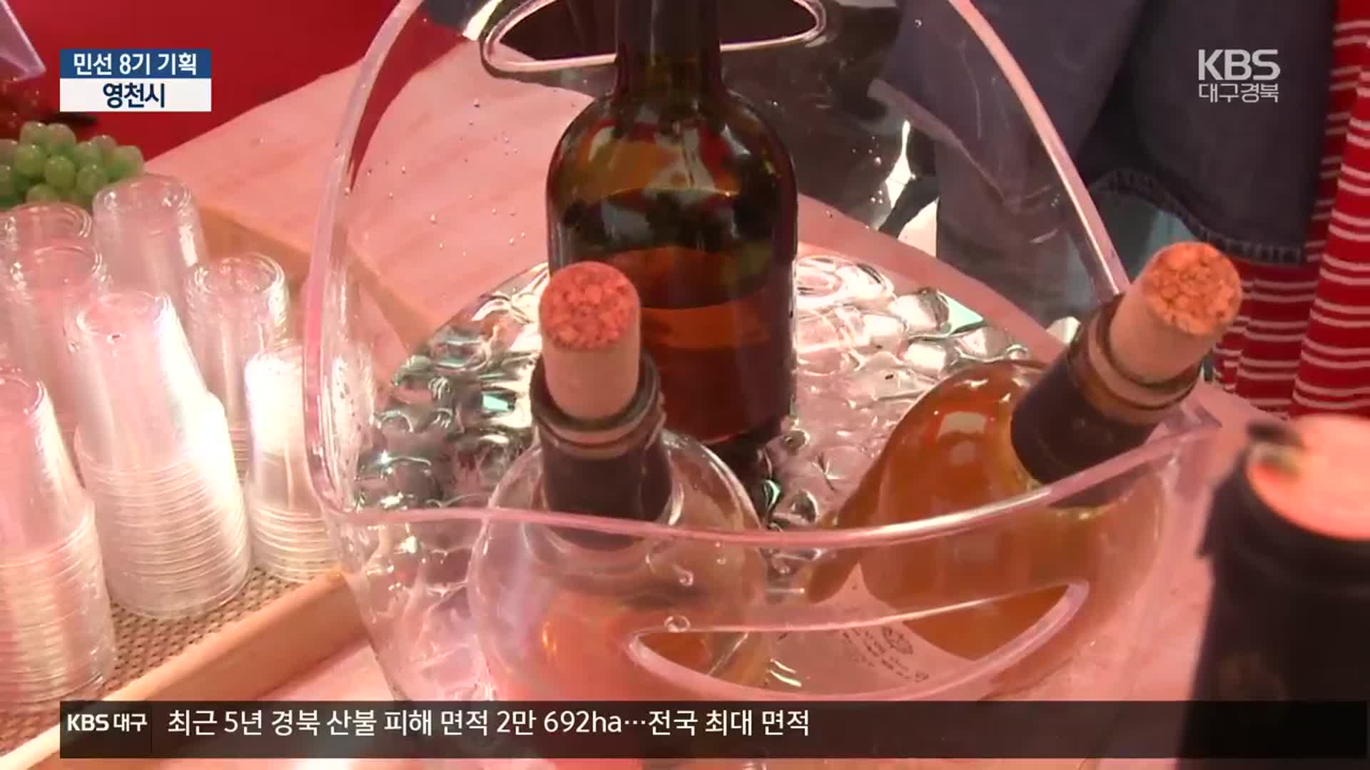 [현안 돋보기] 영천와인, 6차 산업화 기로